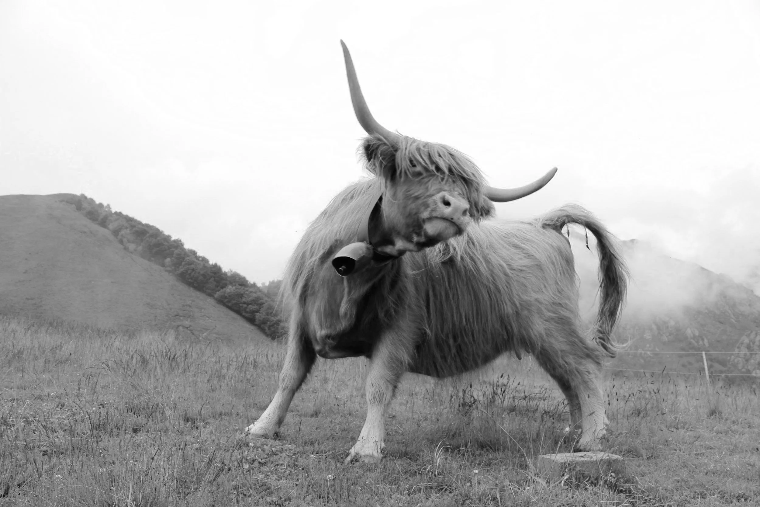 Taurus Season Q & A