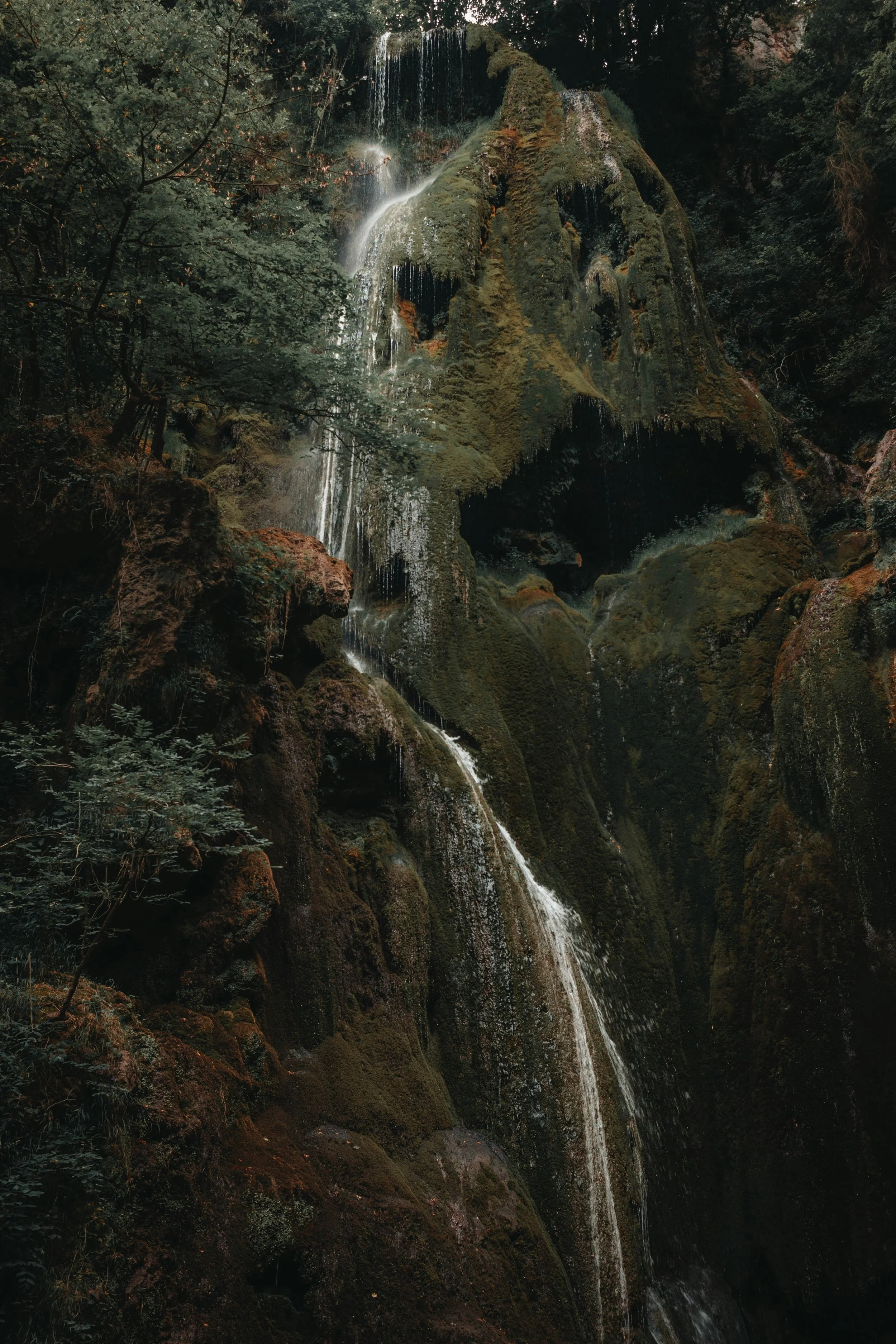 A Week of Liminal Transitions