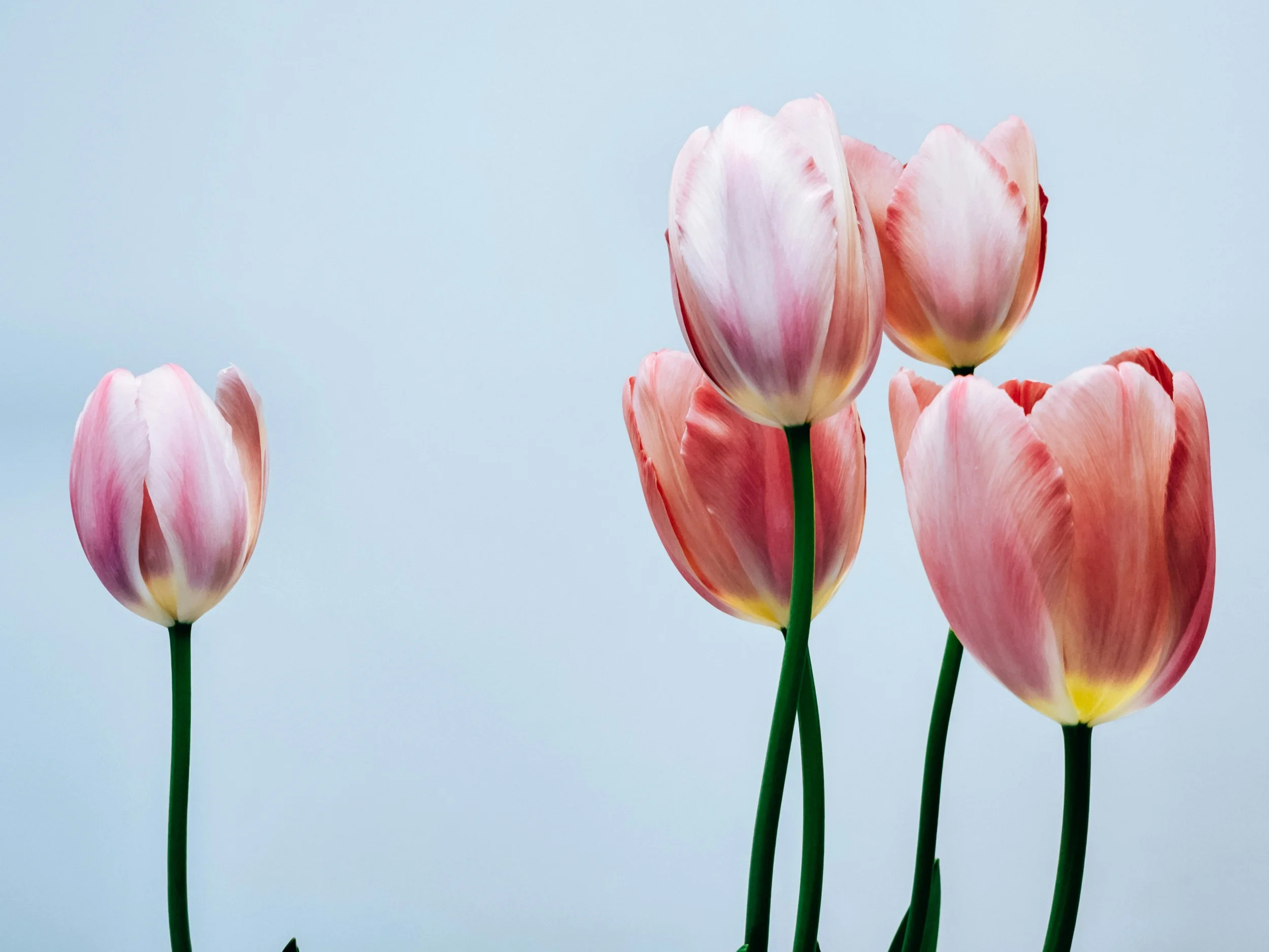 A Month of Fresh Takes