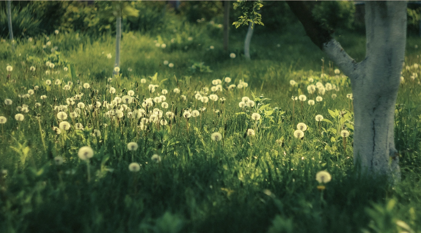 May: A Month of slowing down, then speeding up