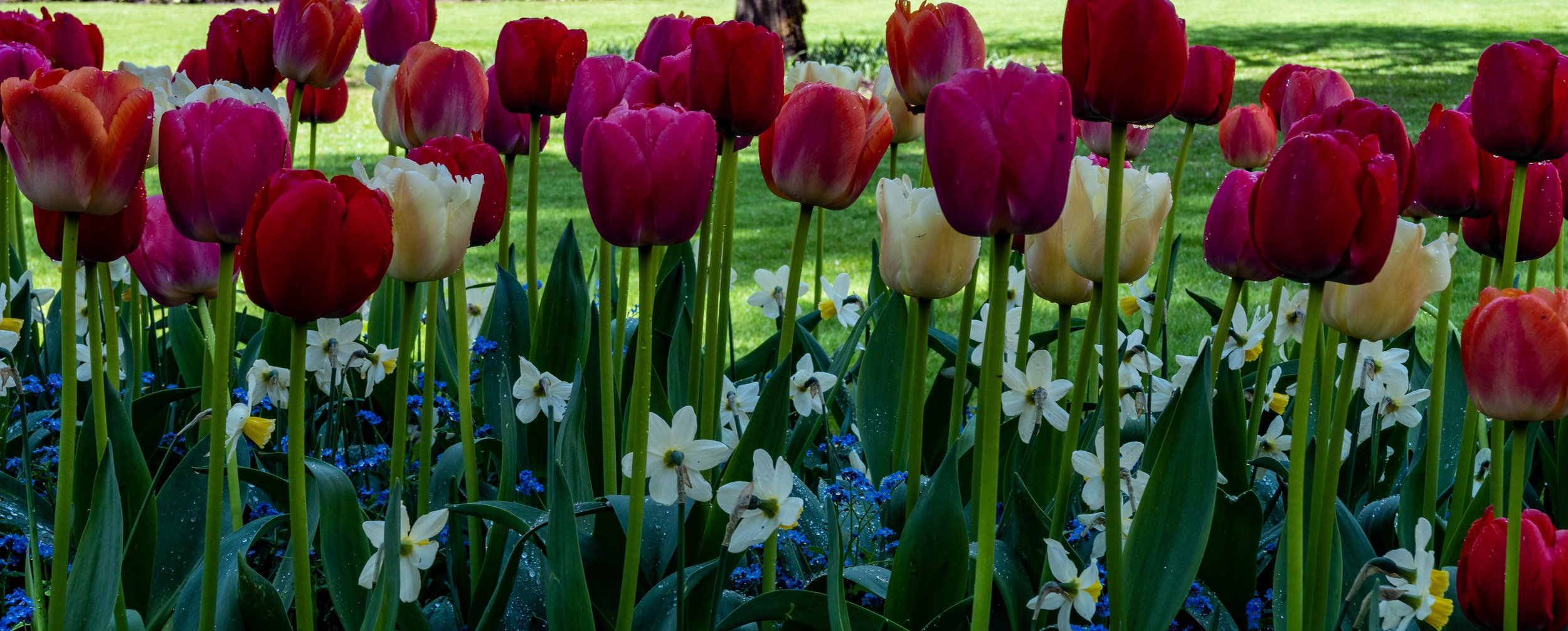 The Butchart Gardens
