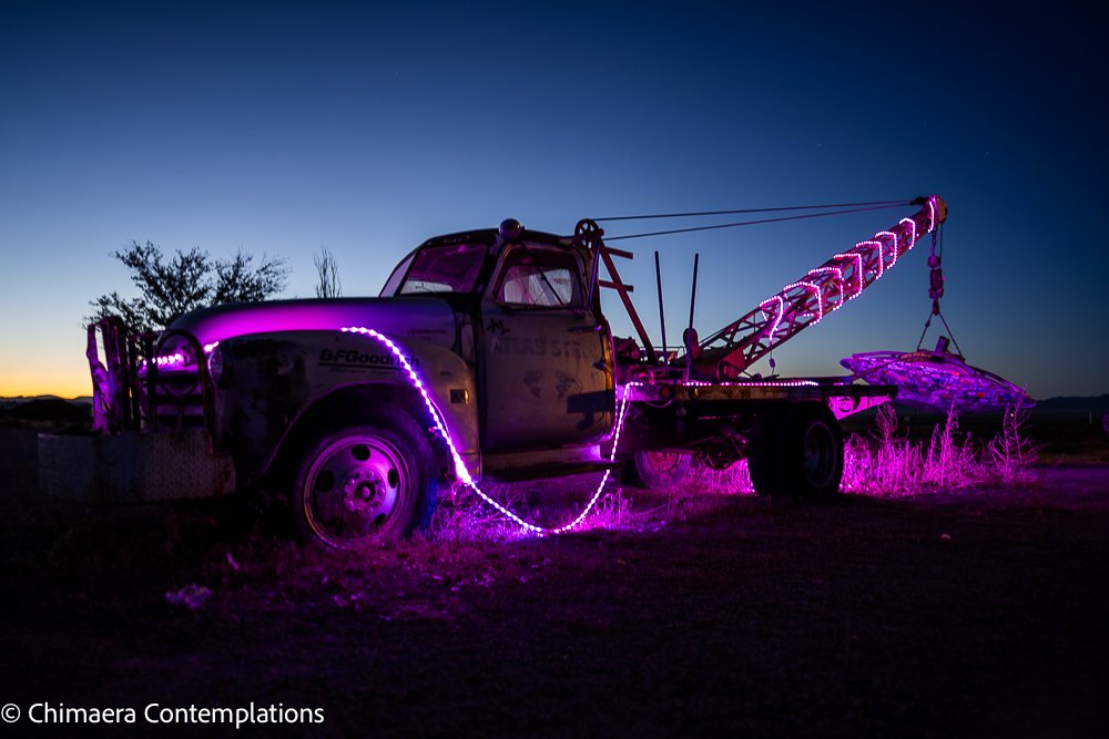 At night they just glow!