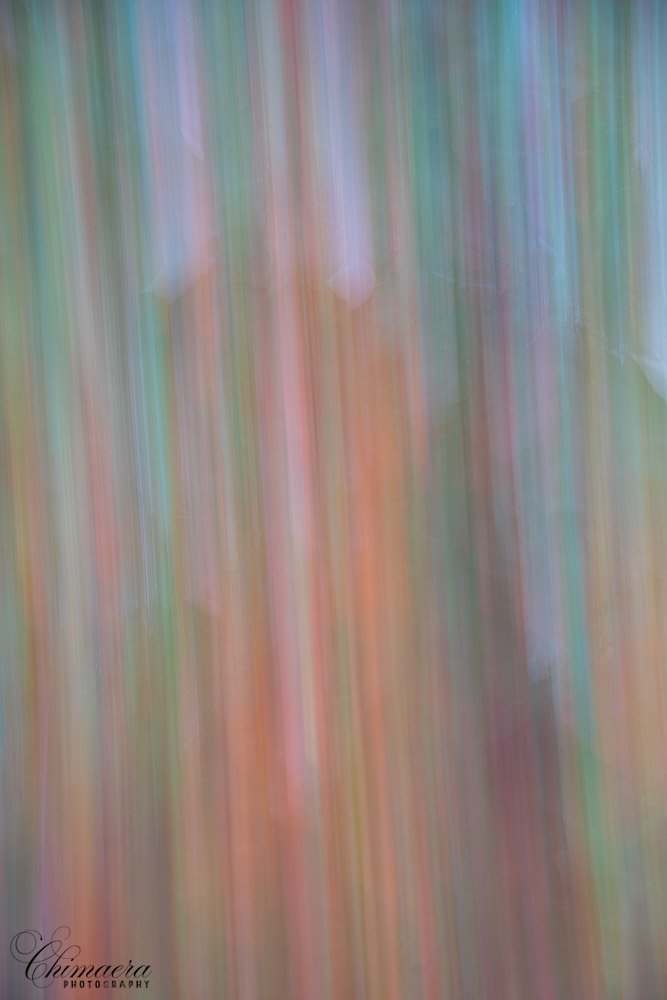 DSC04914.jpg