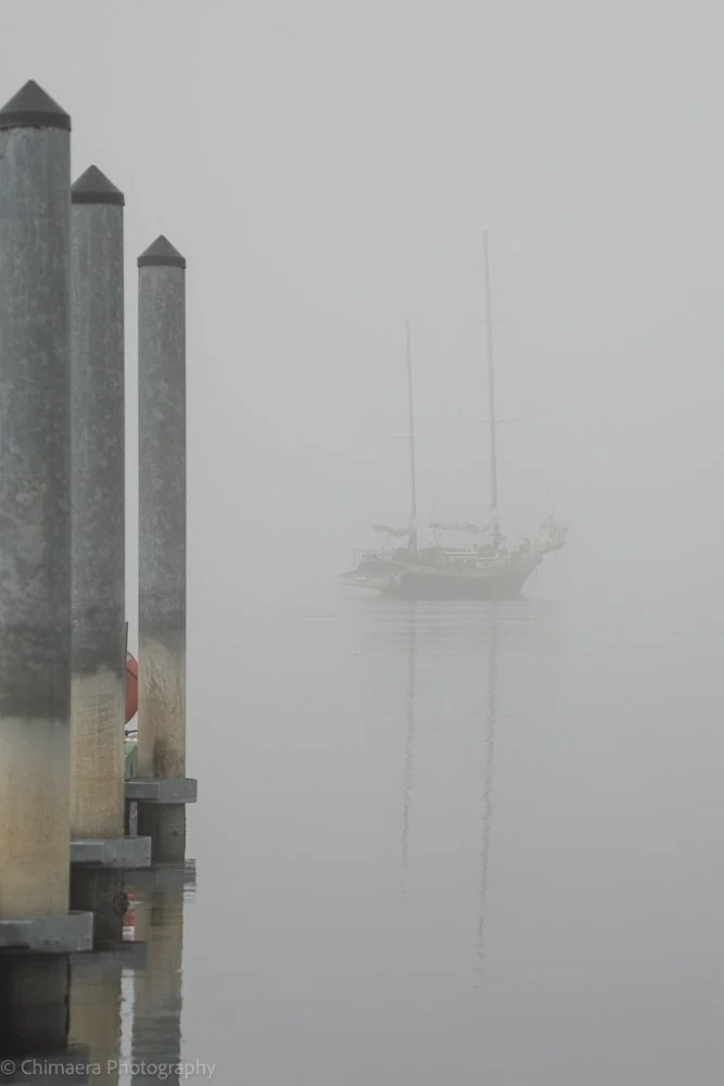 "Through the Fog"  - 20 December 2023