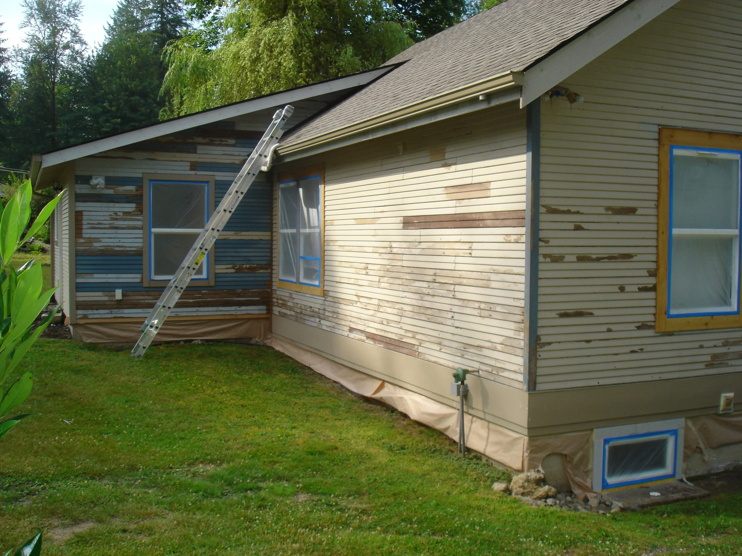 Skagit Co Lead Ext Before  (1).JPG