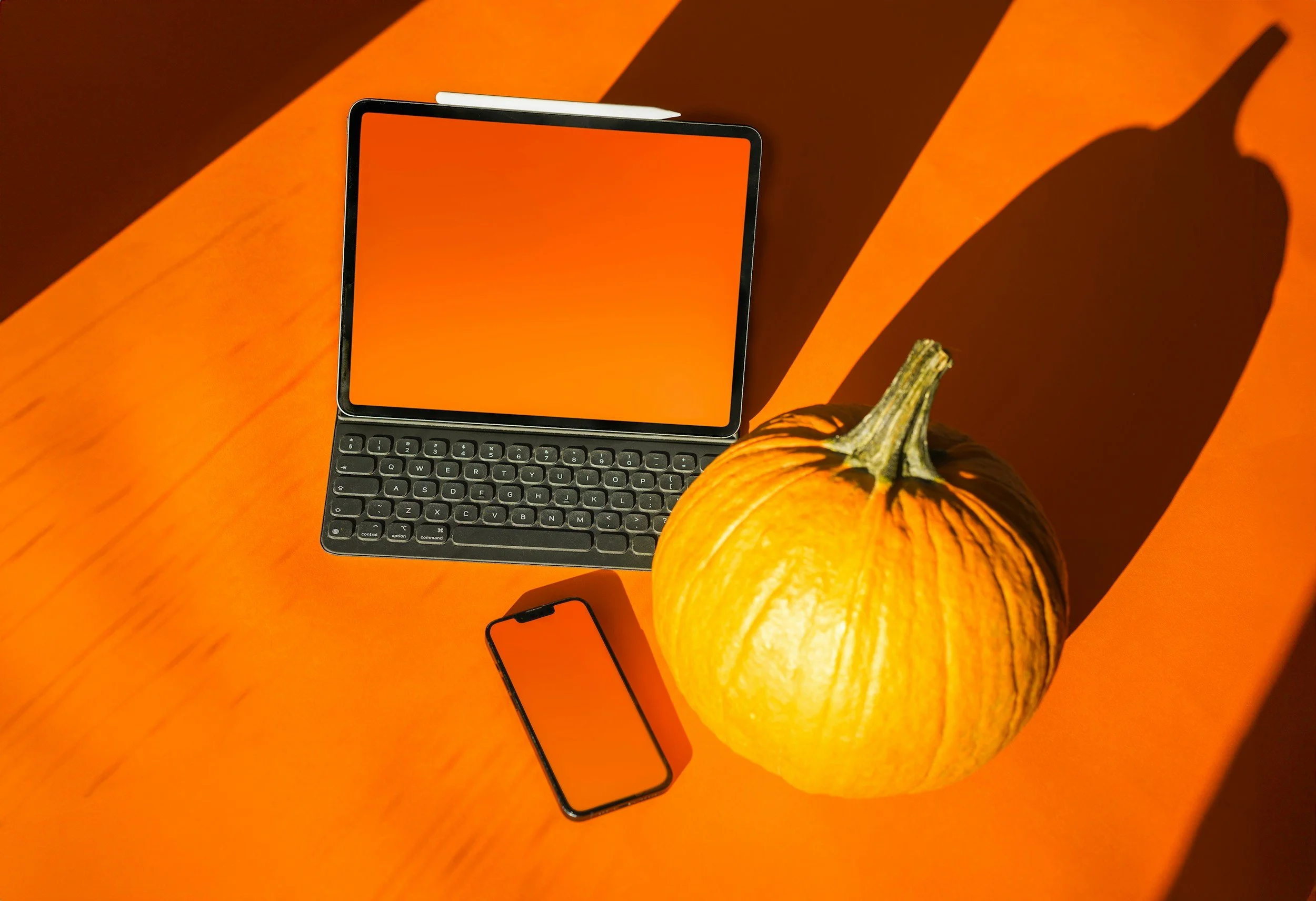 orange pumpkin and laptop