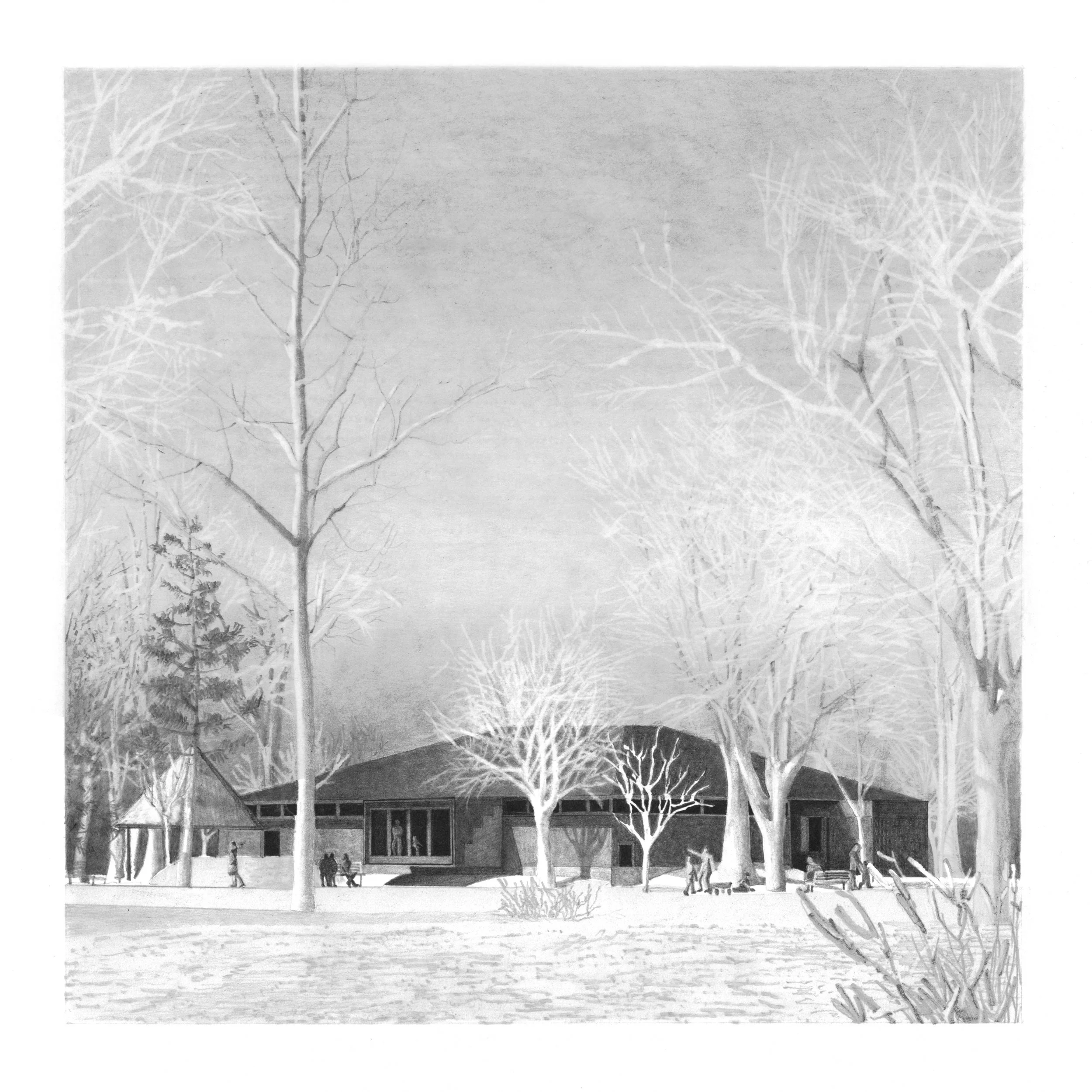 Winter Forest.jpg