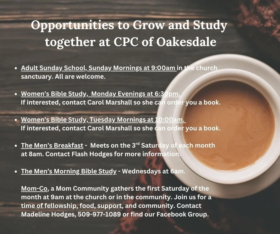 Copy of Copy of Ladies-2.jpg