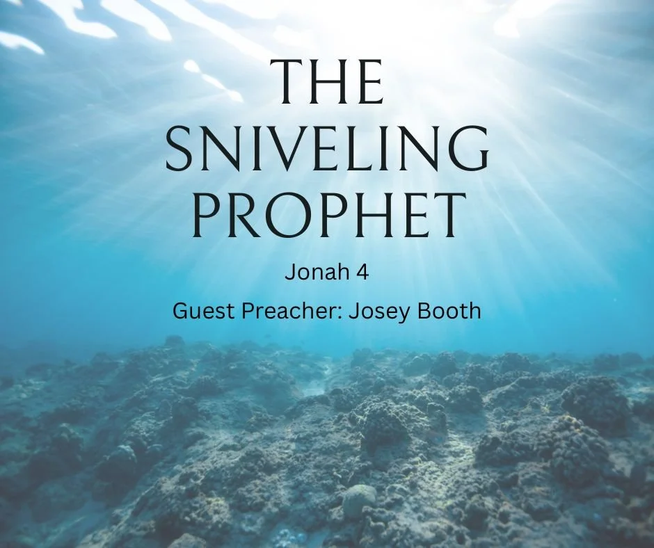 The sniveling prophet - Jonah 4