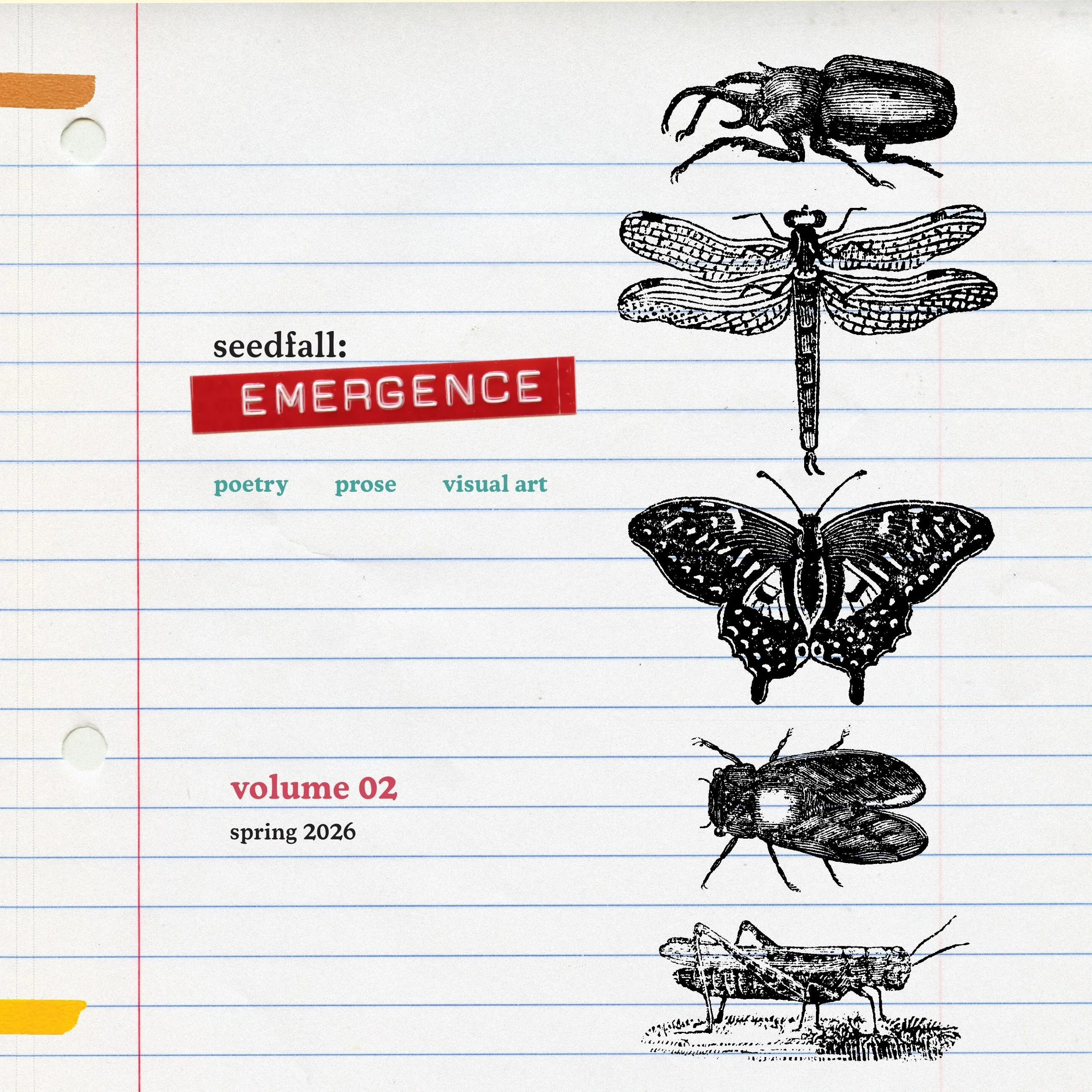 seedfall: Emergence ✨PREORDER for April✨