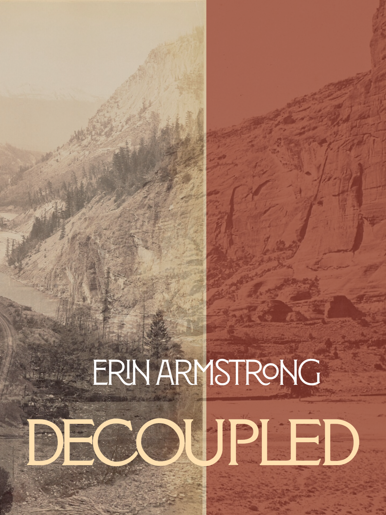 Decoupled landscape-1 (4).png