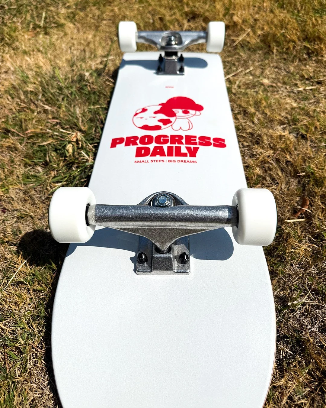complete skateboard carousel pictures 1.jpg