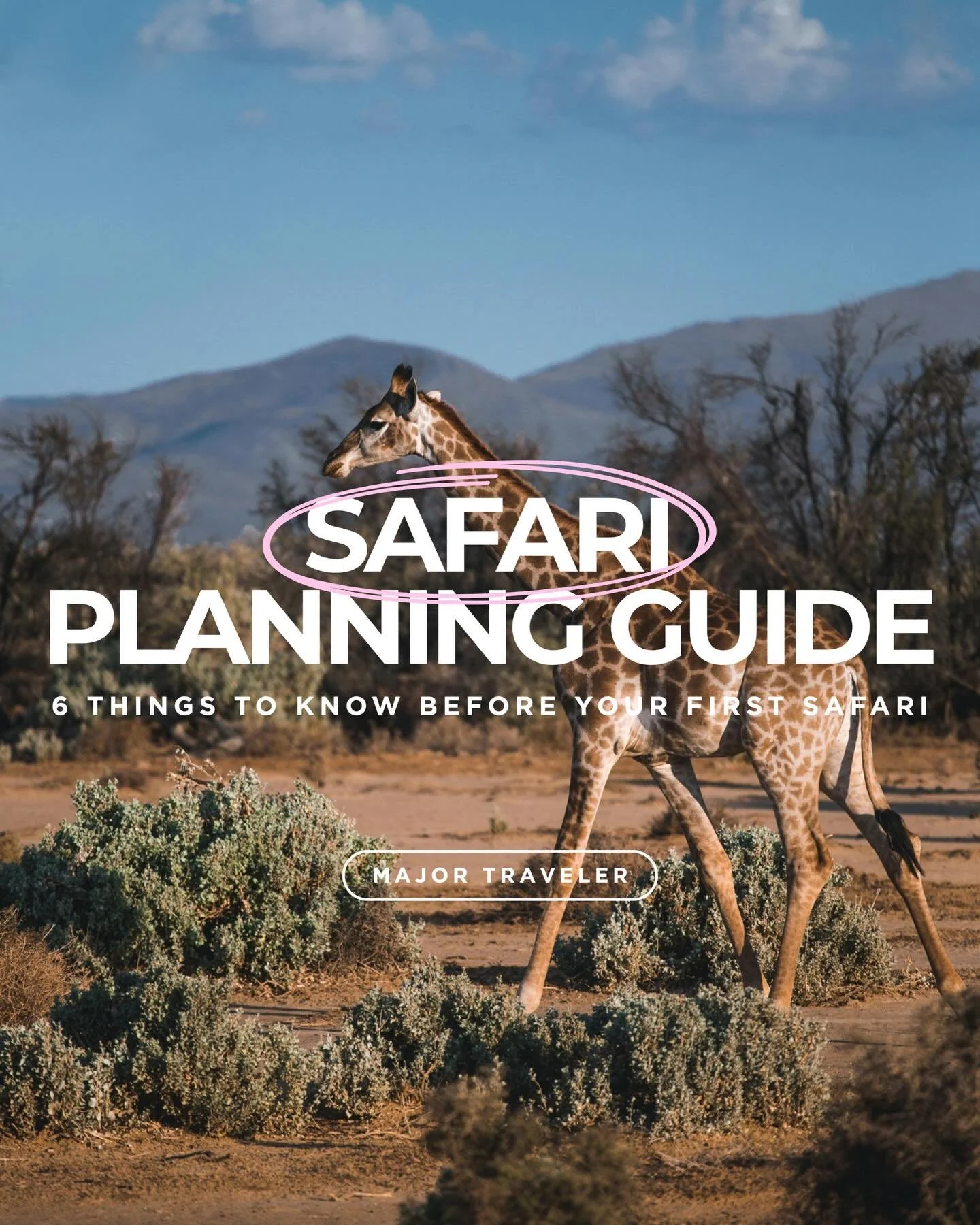 A safari is not just about picking a destination &mdash; it&rsquo;s about timing, movement, and how everything connects.
These are the details that make the difference between a good trip and an unforgettable one.

Save this for when you start planni