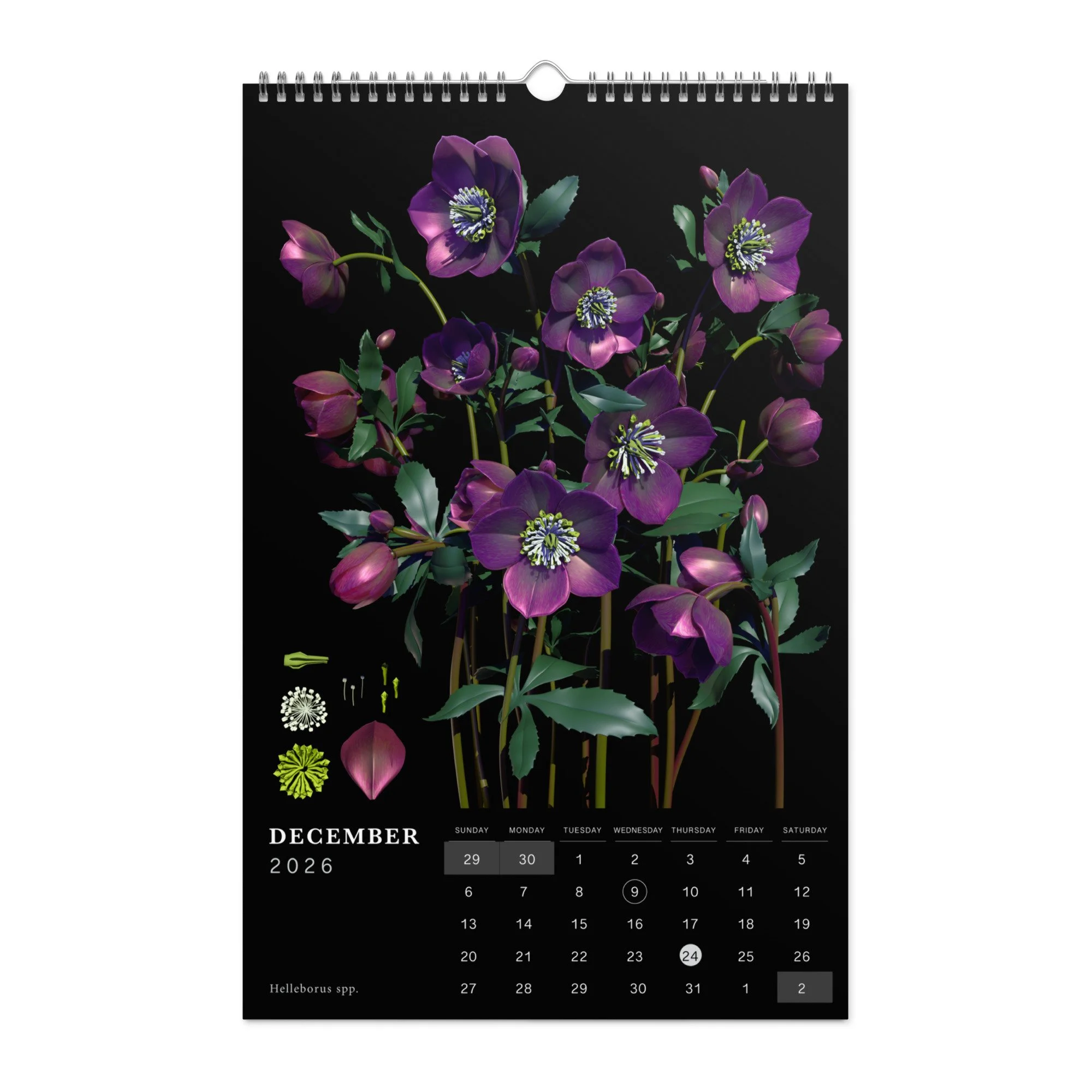 wall-calendar-(blank)-white-11x17-front-69421b0ec495a.jpg