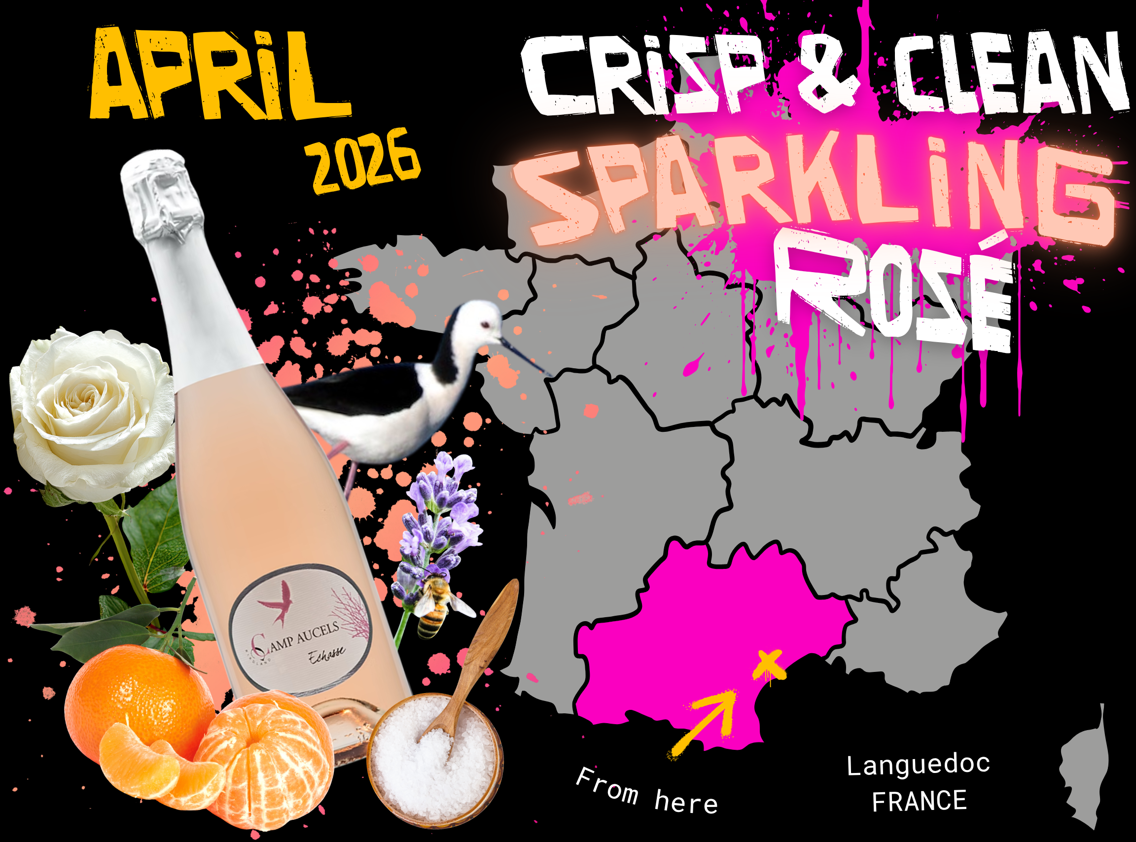 A collage promoting the April 2026 club wine. A map of theFrance with the Languedoc region shaded in, with vibrant mandarin orange, white rose, a wine bottle labeled 'Camp Aucels,' lavender, a honeybee, a bowl of salt, and bold colorful text.