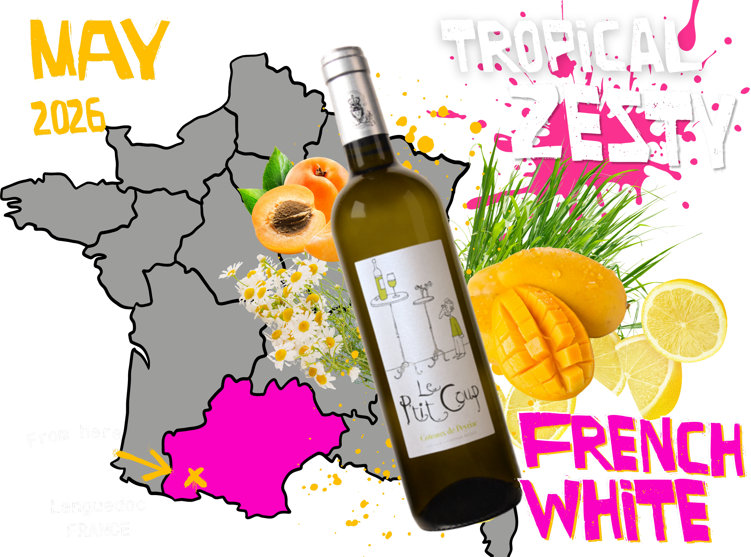 A colorful promotional image for the May 2026 club wine, featuring a map of France with the Languedoc region highlighted in pink, a bottle of white wine, peaches, citrus slices, herbs, and bold colorful text reading TROPICAL ZESTY