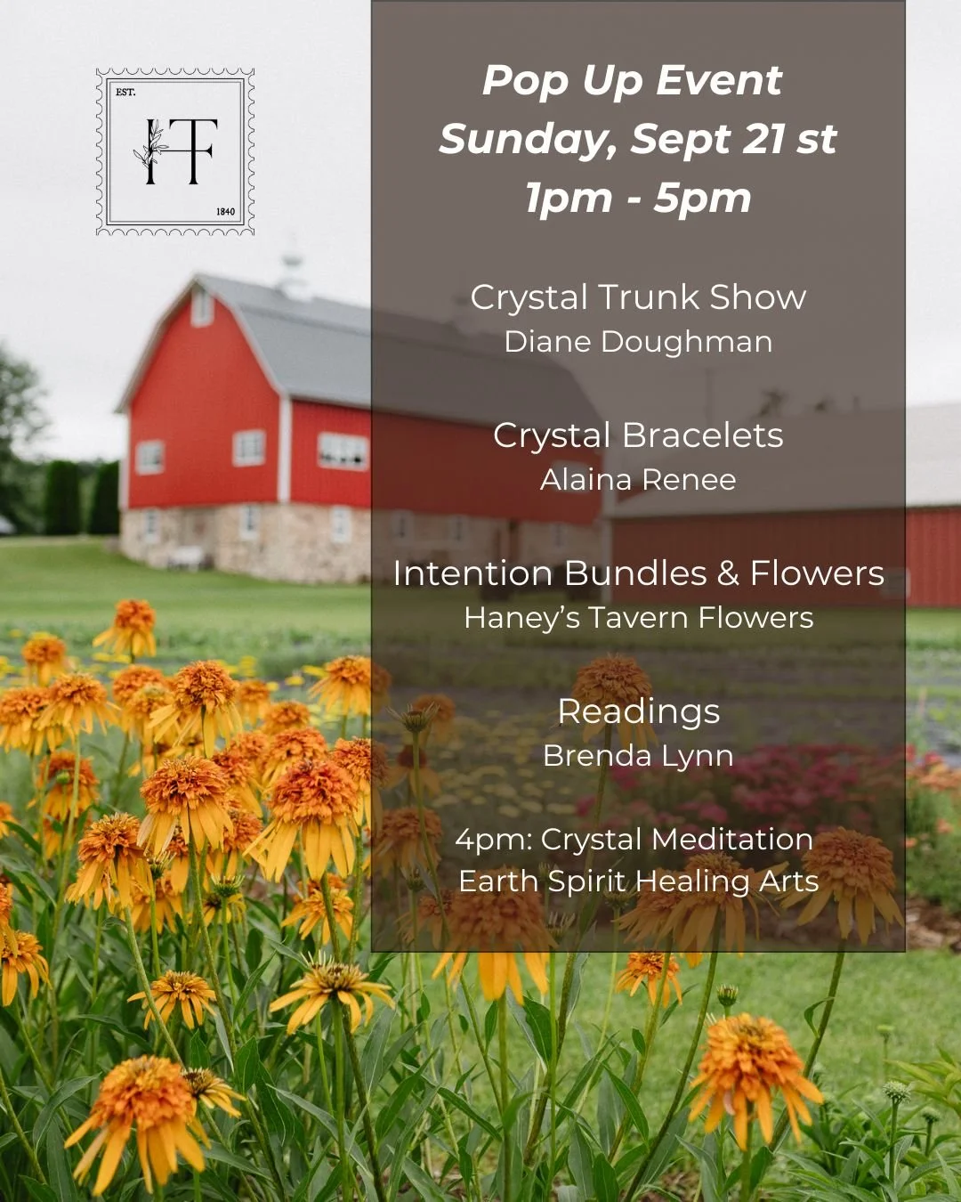 POP UP EVENT