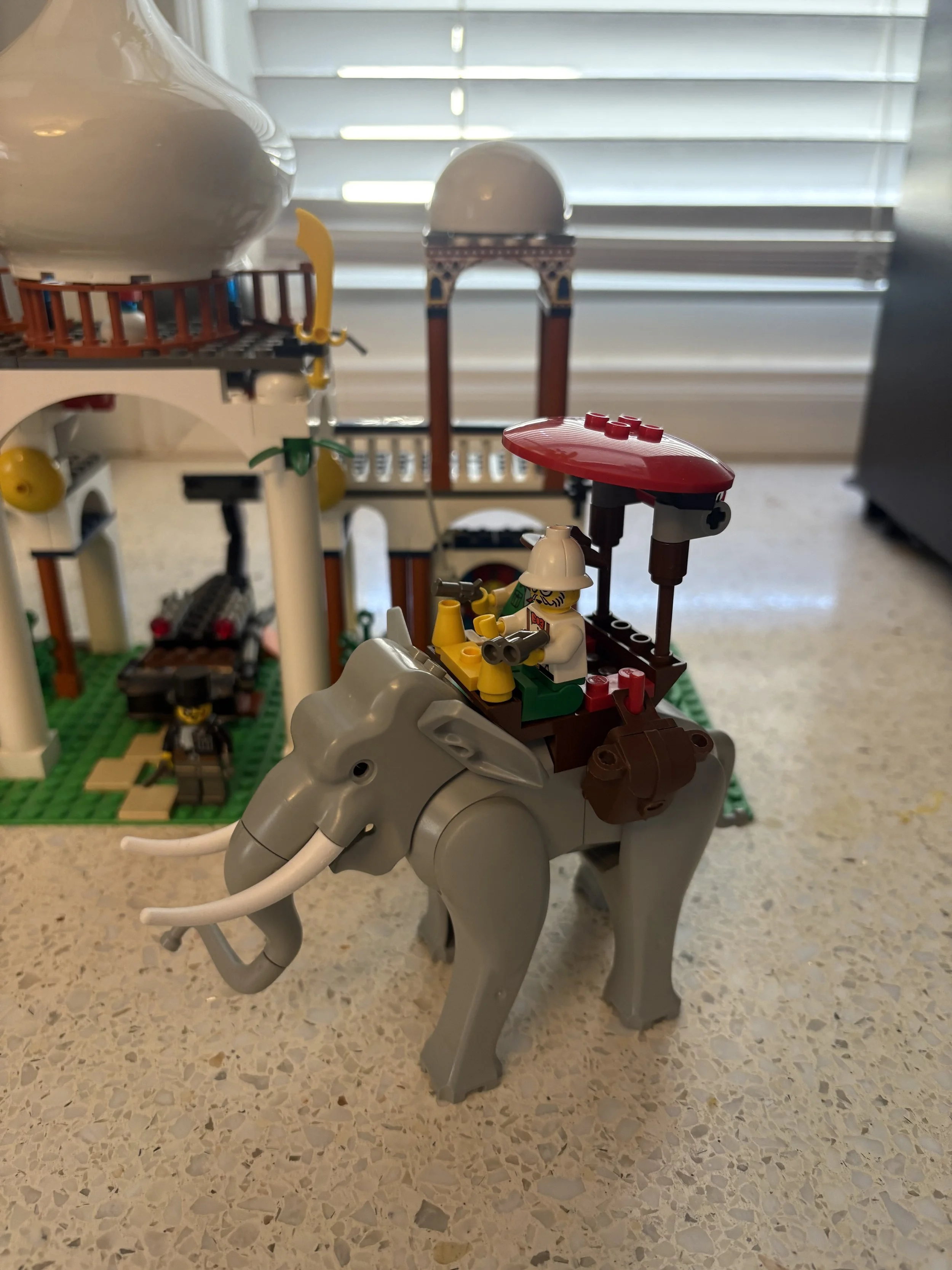 IMG_9514.jpeg