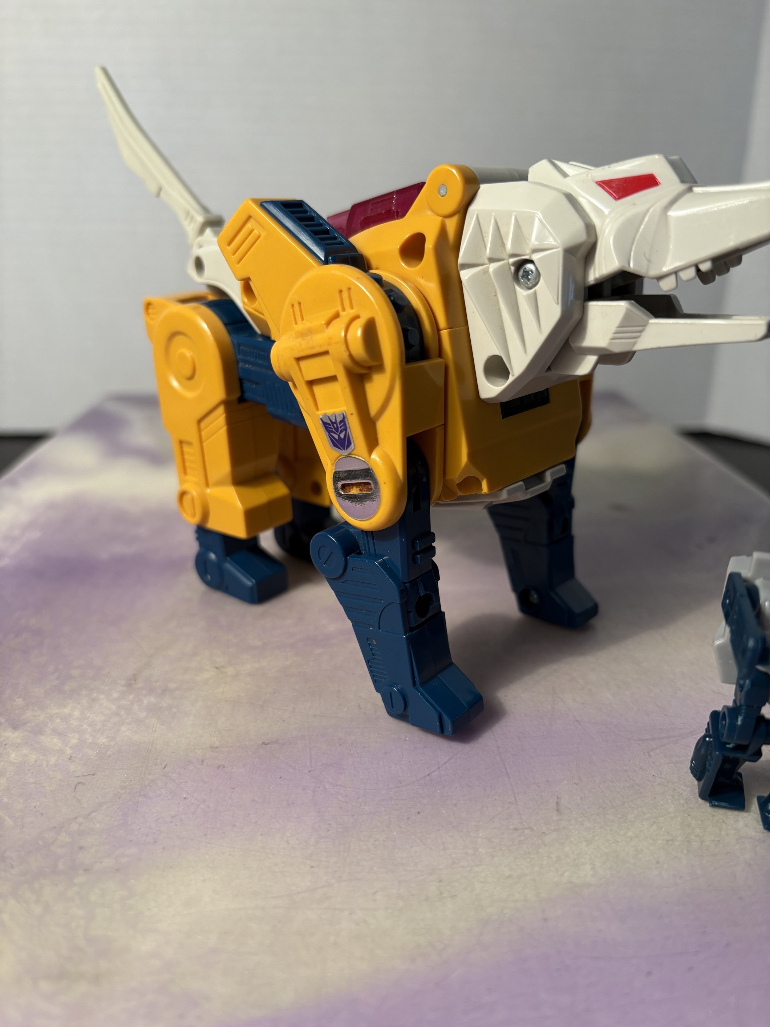 IMG_0335.jpeg