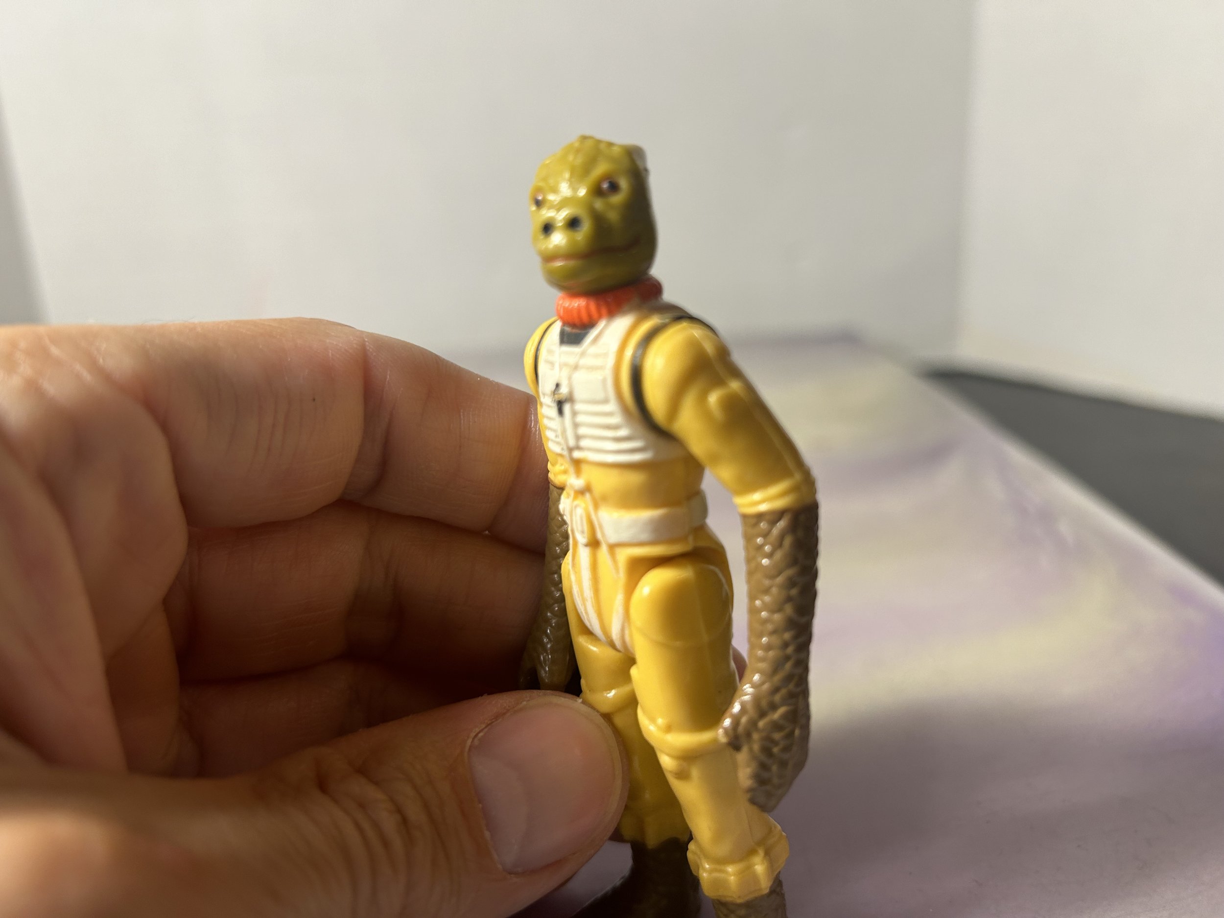 IMG_2252.jpeg
