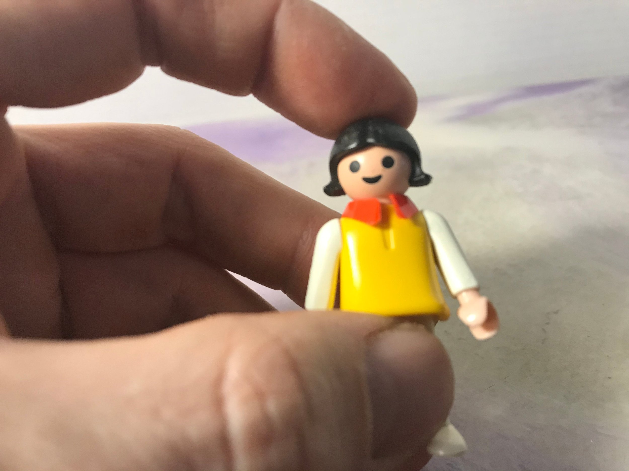 https://i.etsystatic.com/16492194/r/il/74143e/2792662972/il_fullxfull.2792662972_rq8c.jpg