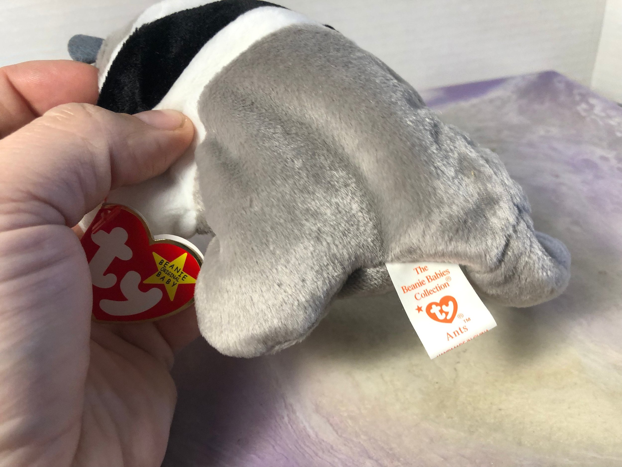 https://i.etsystatic.com/16492194/r/il/92afec/3877038176/il_fullxfull.3877038176_ajdf.jpg
