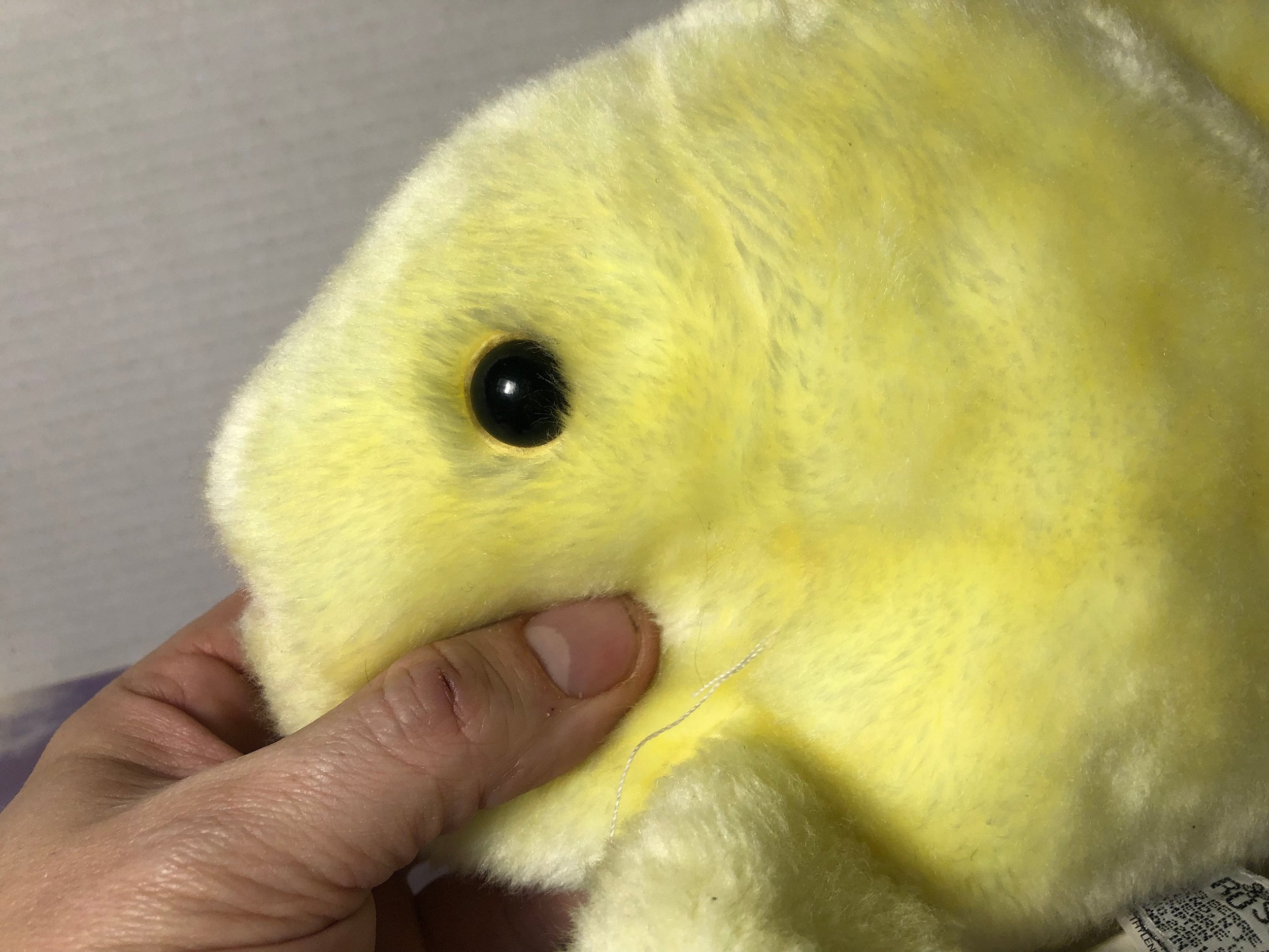 https://i.etsystatic.com/16492194/r/il/da1c75/3643879507/il_fullxfull.3643879507_iuxn.jpg