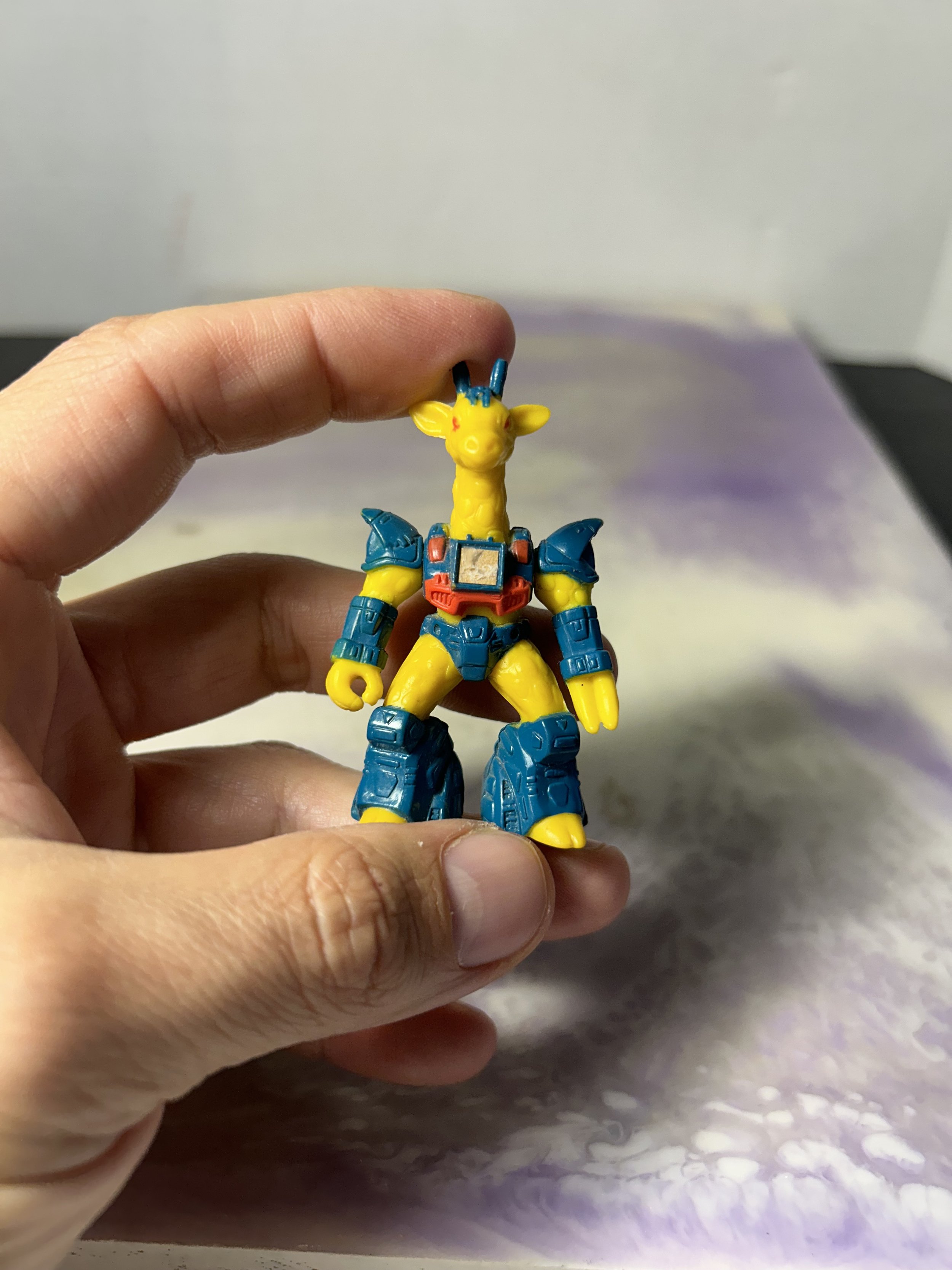 IMG_1974.jpeg