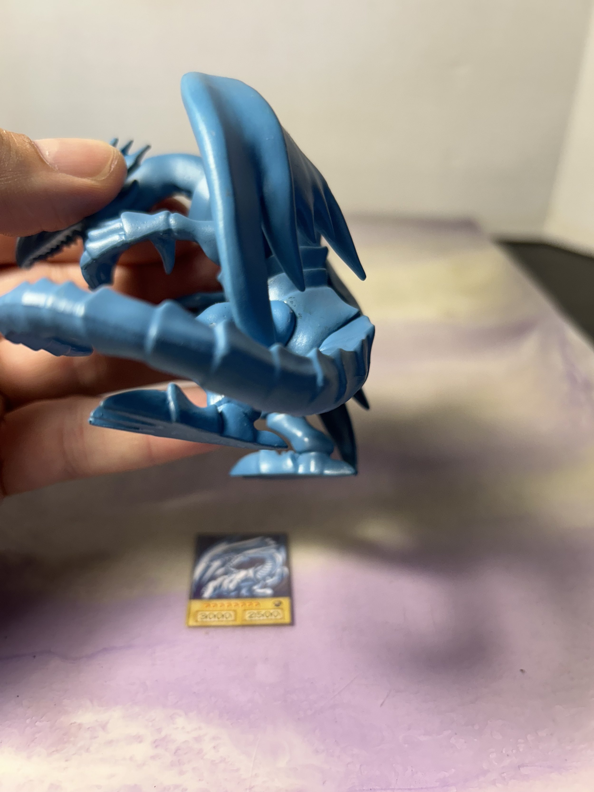 IMG_7883.jpeg