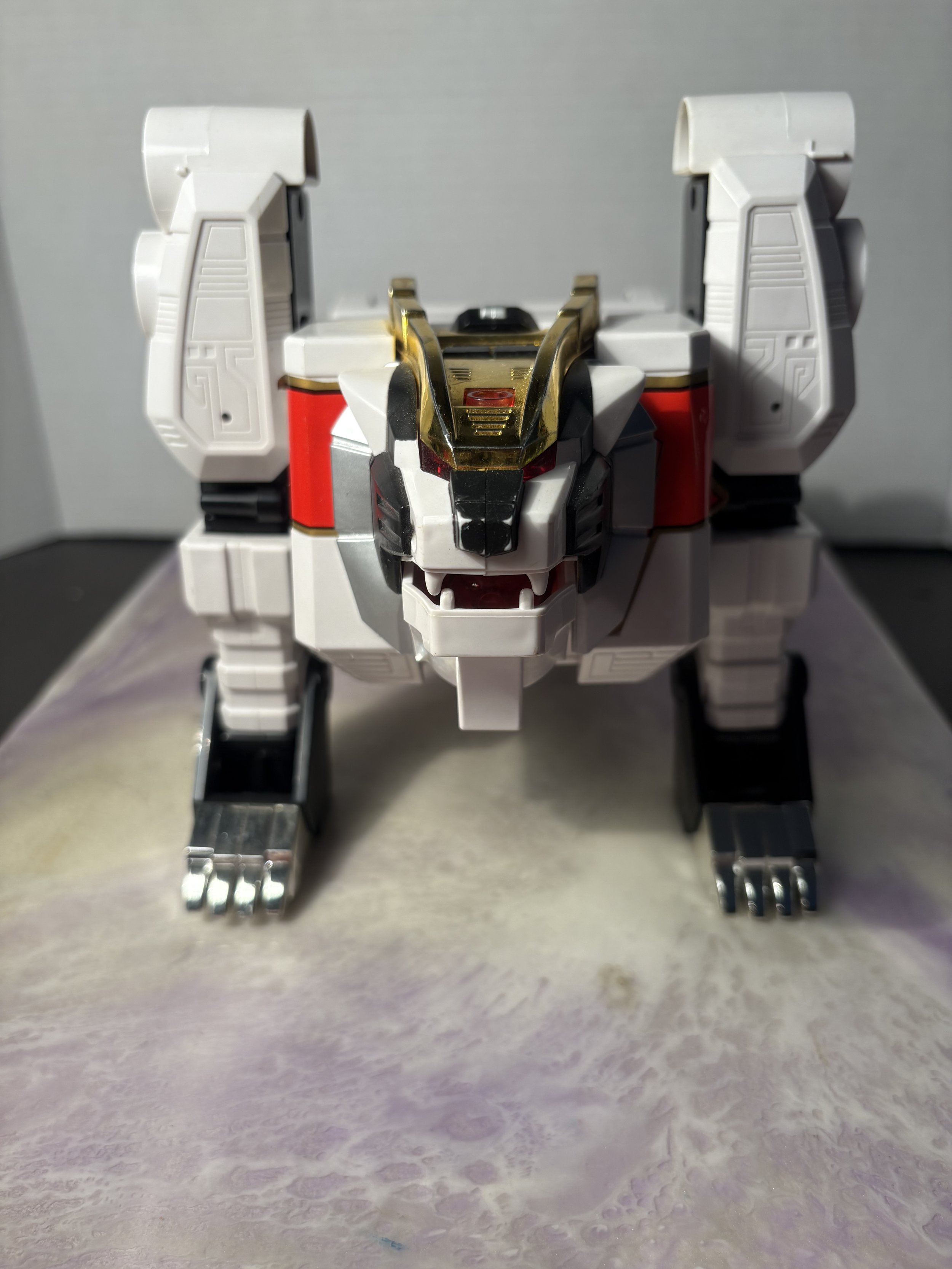 IMG_2933.jpeg