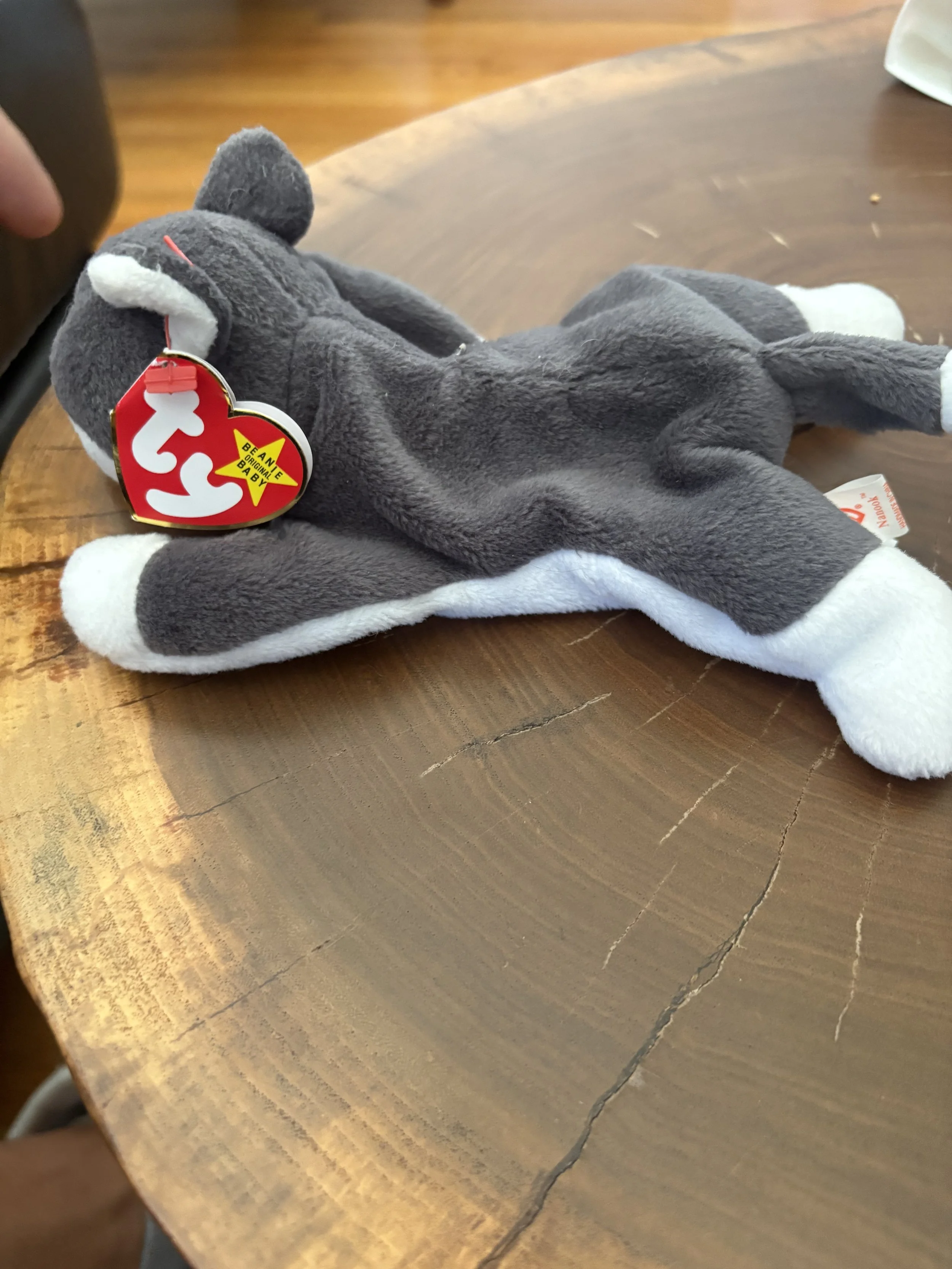 IMG_4733.jpeg