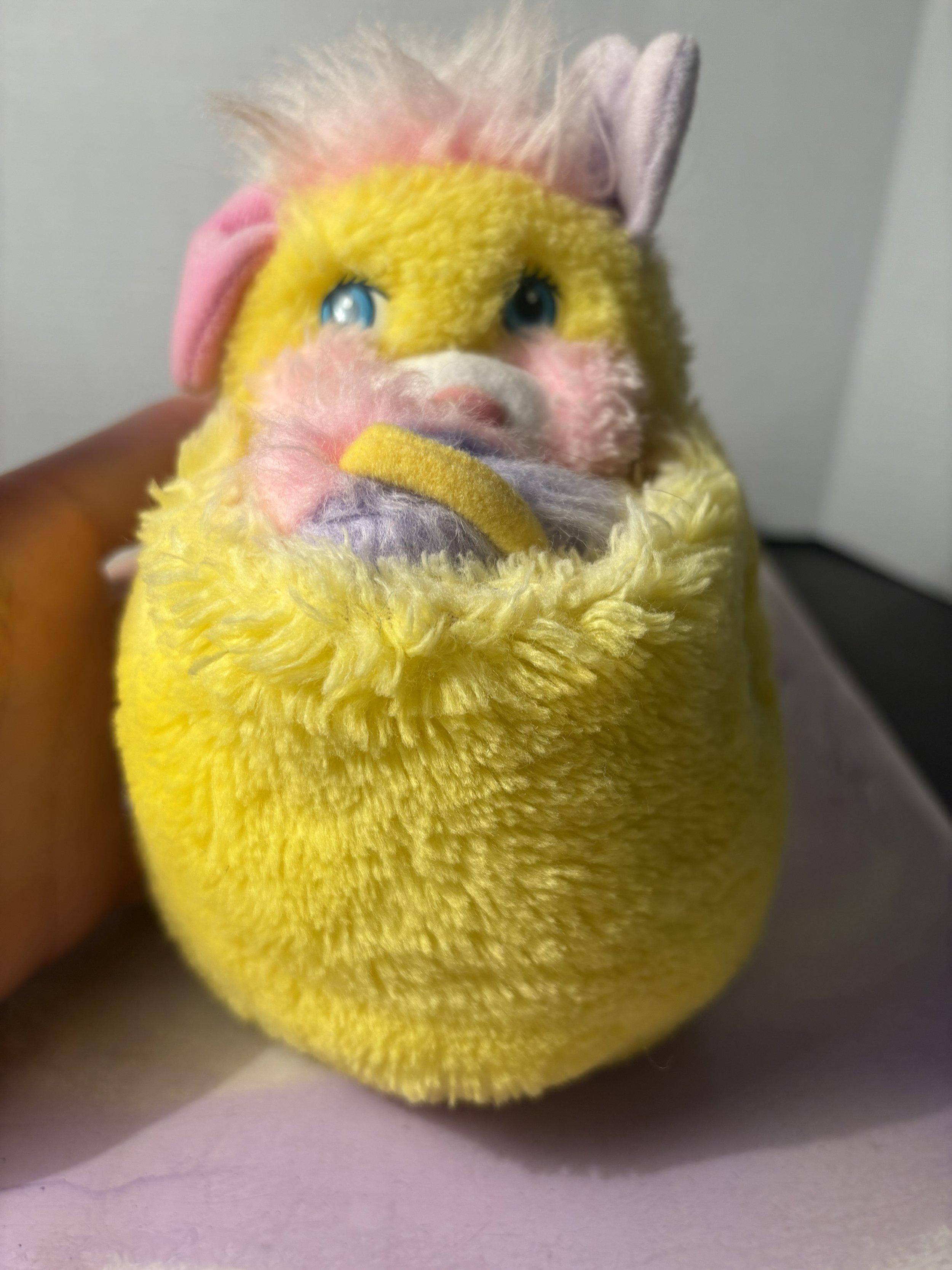 IMG_1819.jpeg