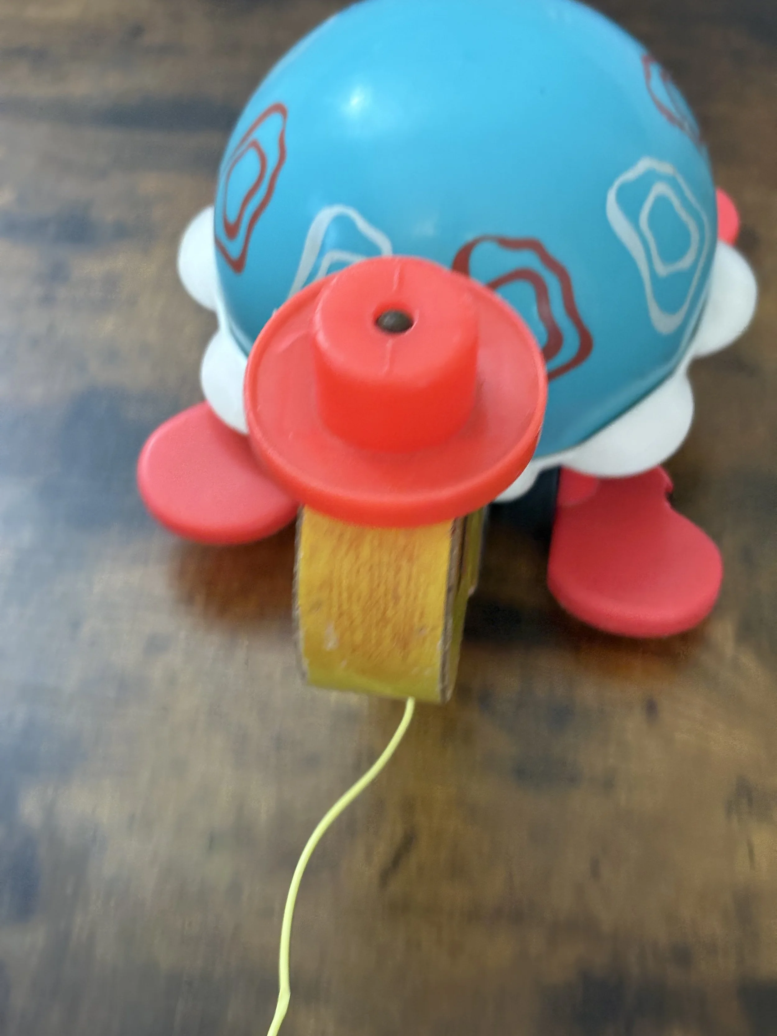 IMG_4334.jpeg