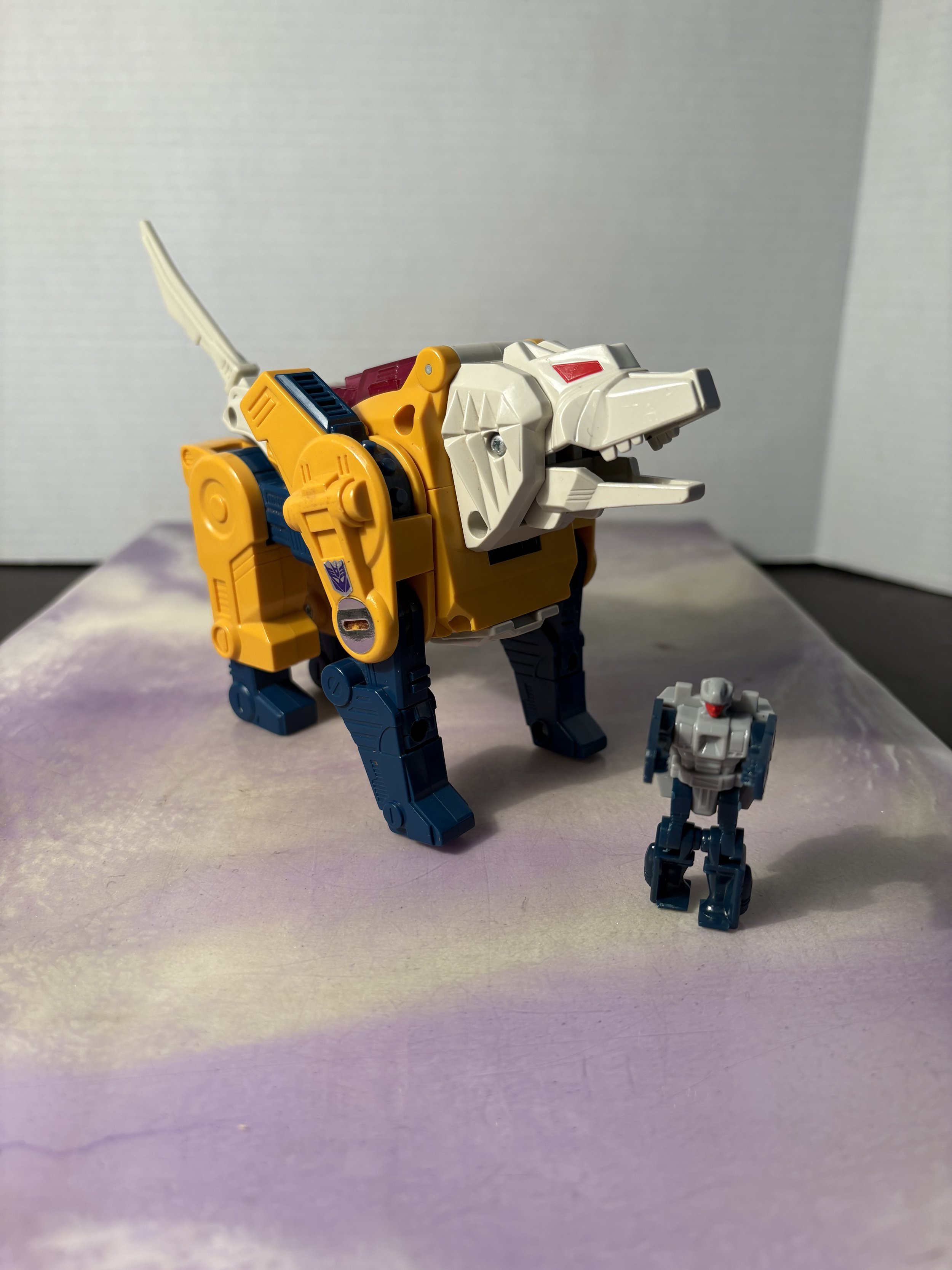 IMG_0334.jpeg