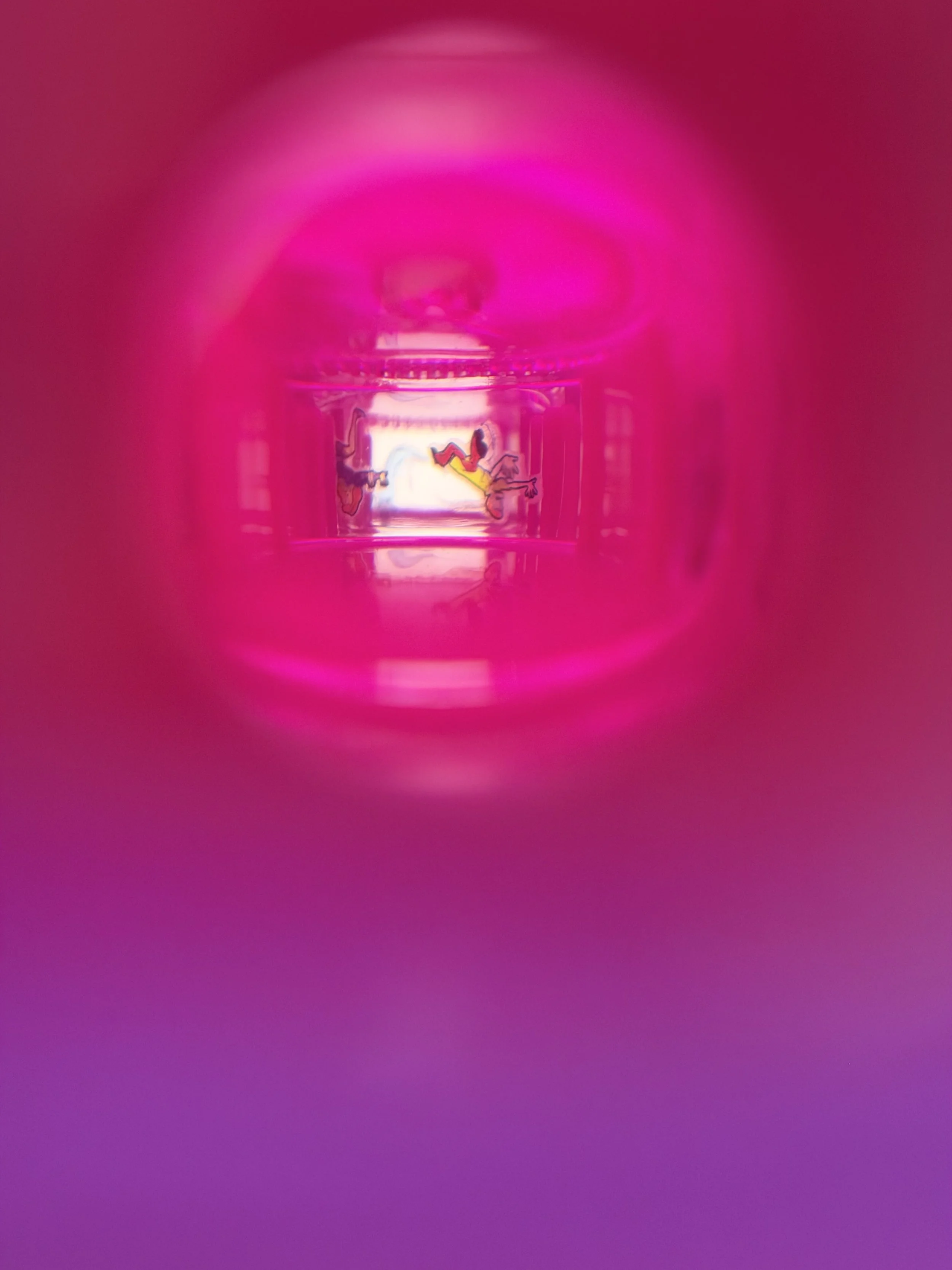 IMG_1008 2.jpeg