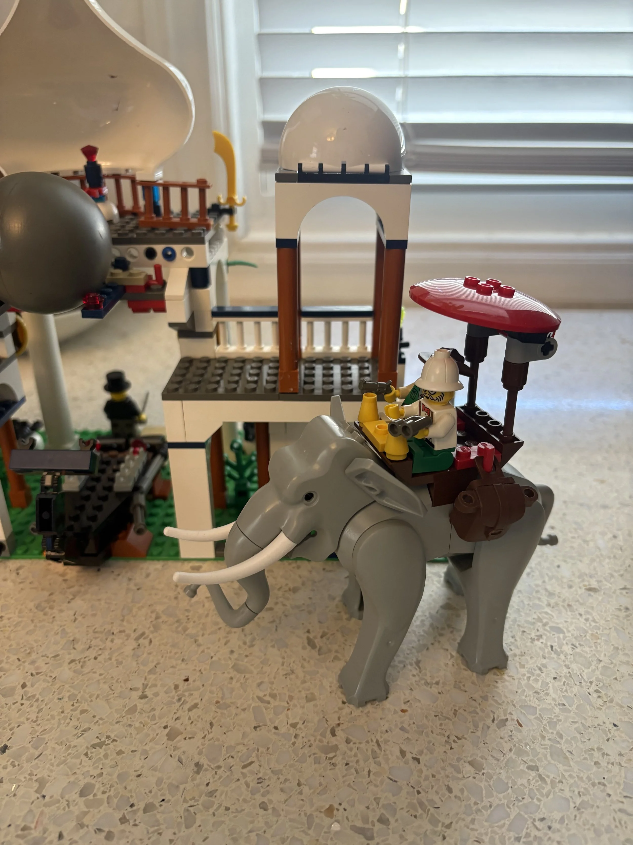 IMG_9520.jpeg