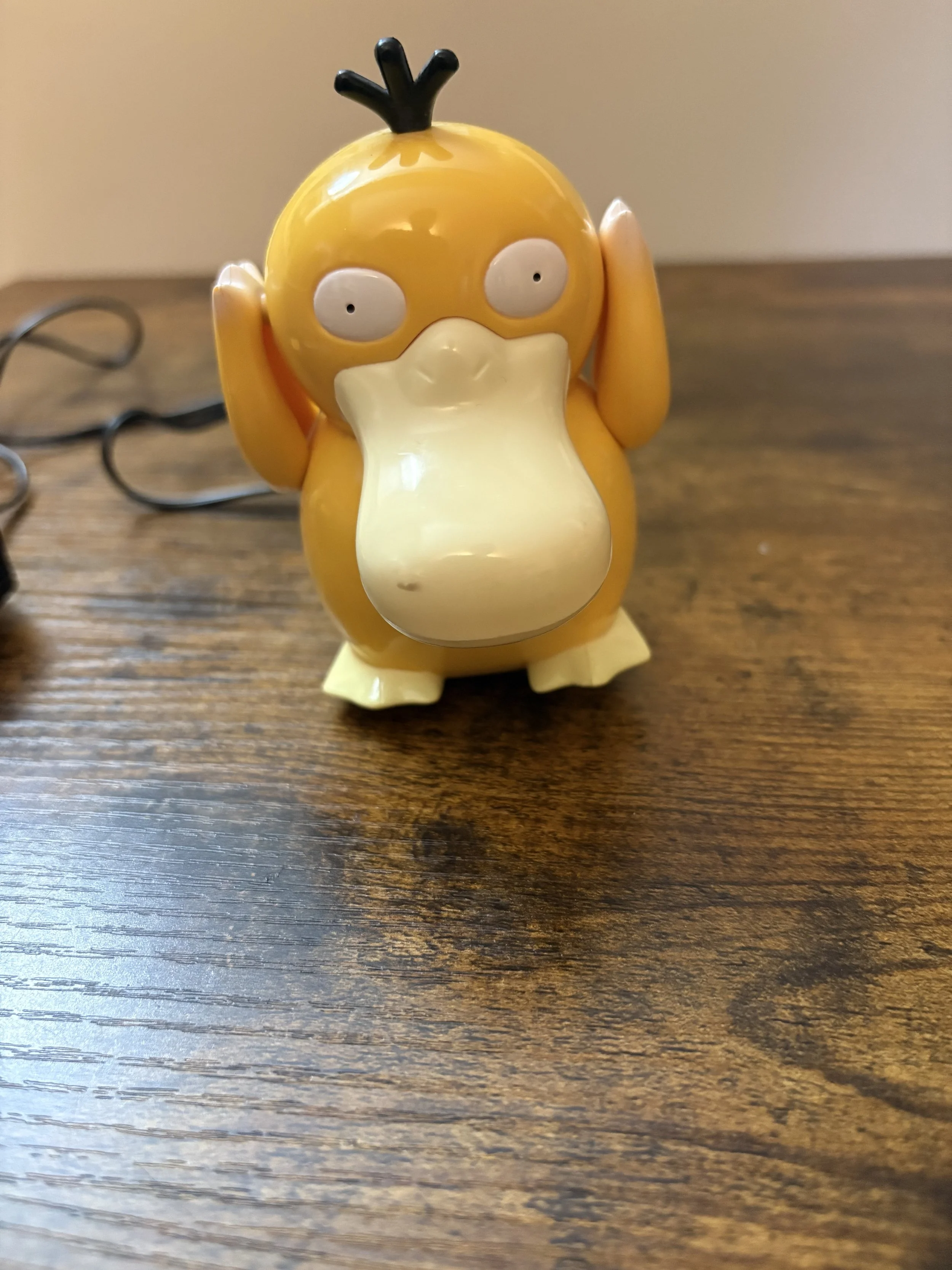 IMG_4793.jpeg
