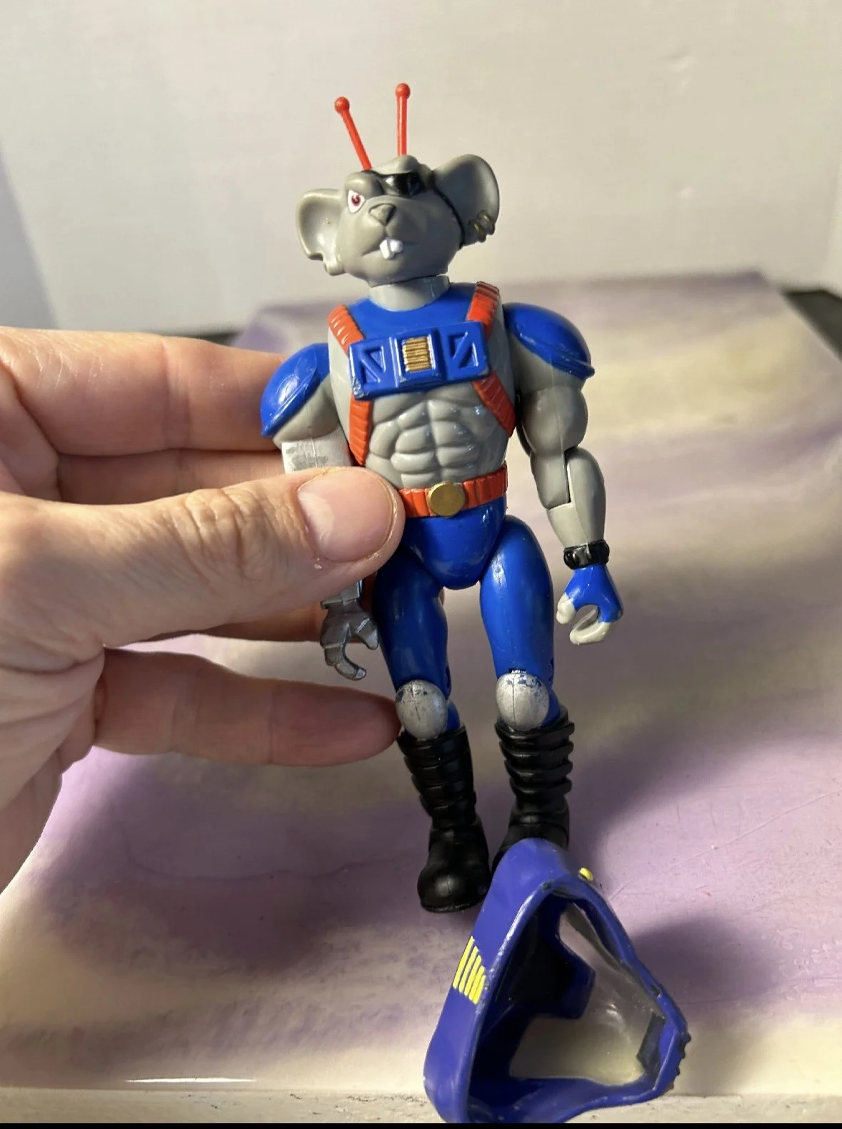IMG_1731.jpeg