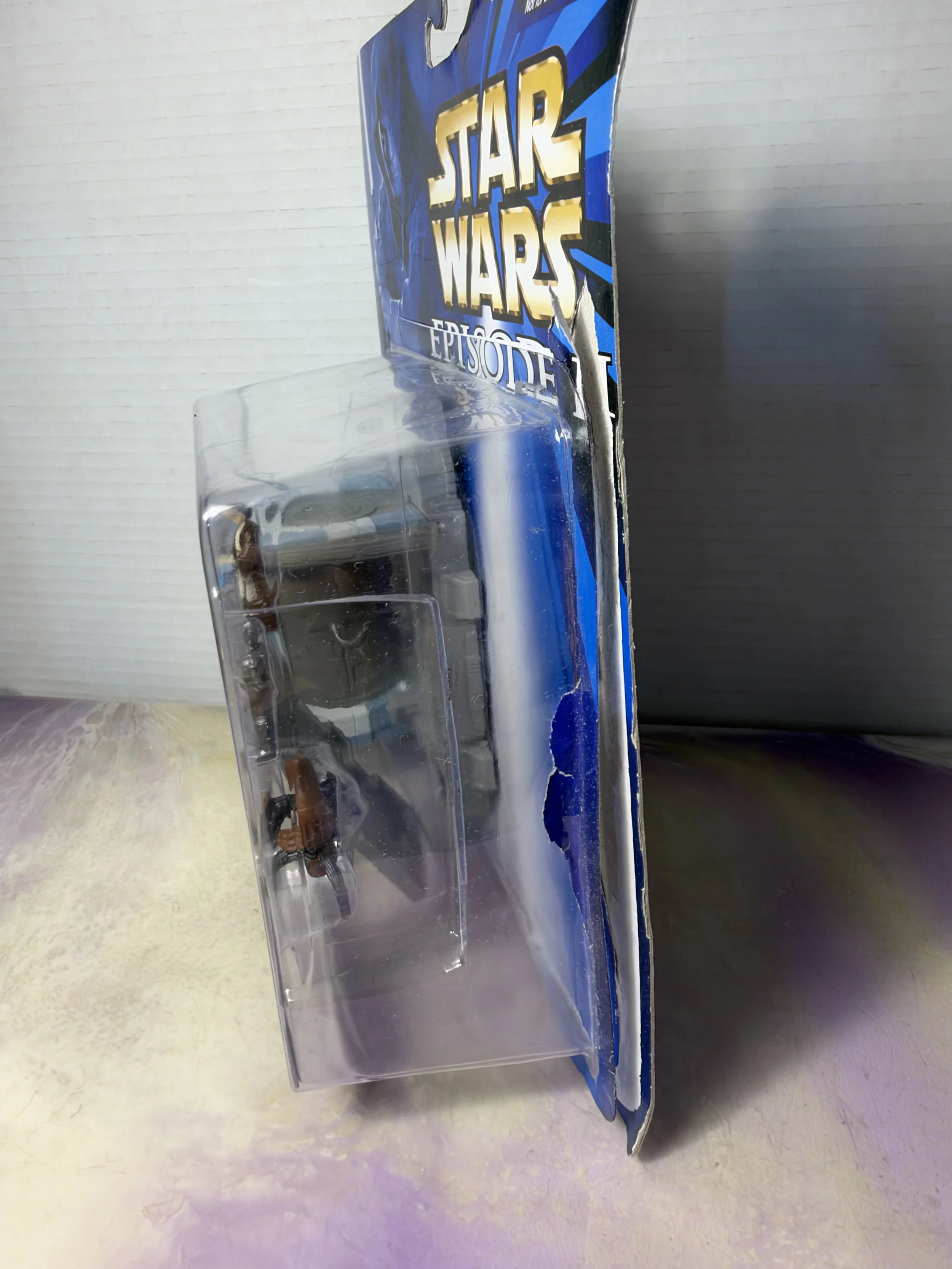 IMG_1022.jpeg