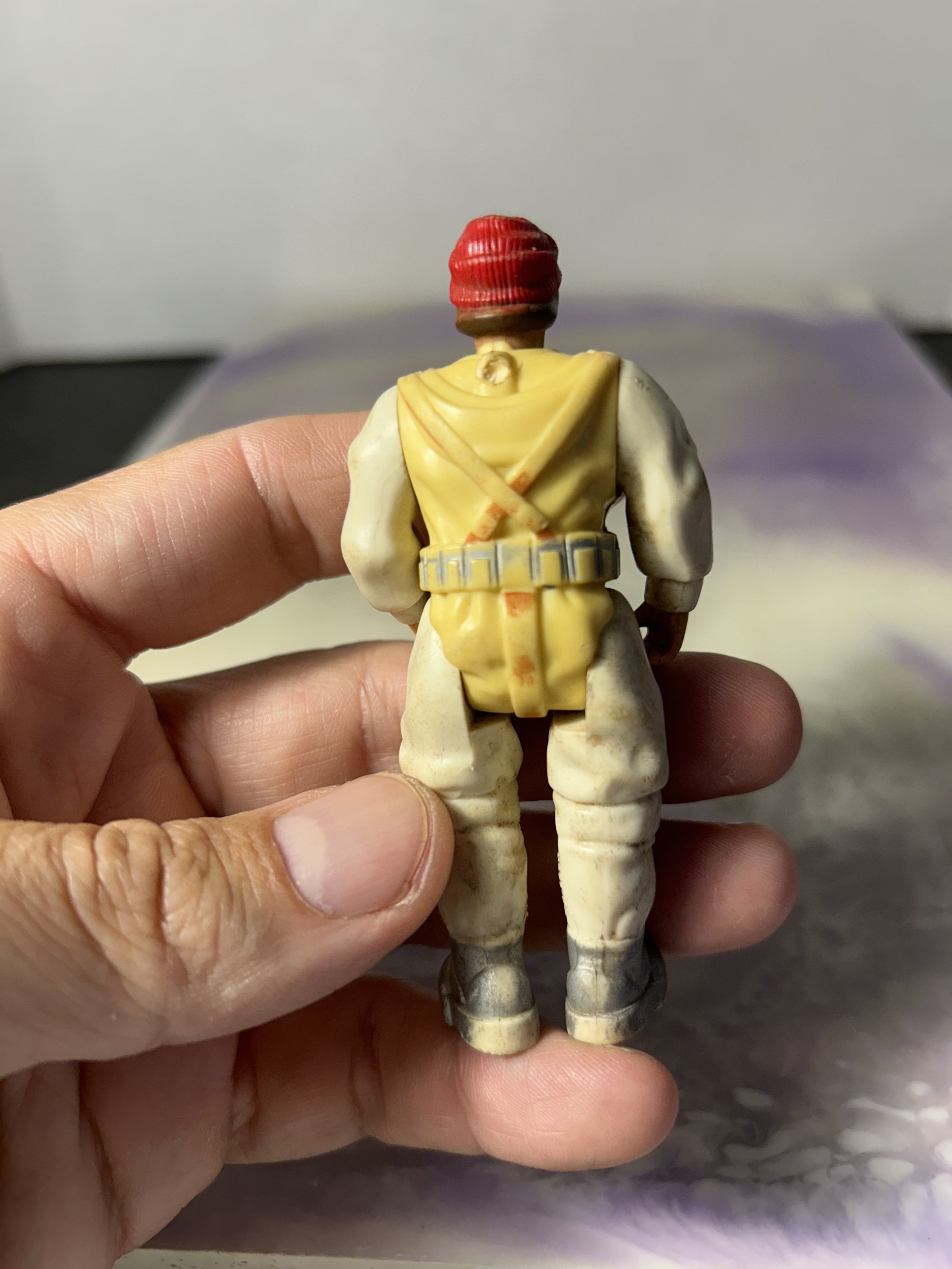 IMG_7294.jpeg