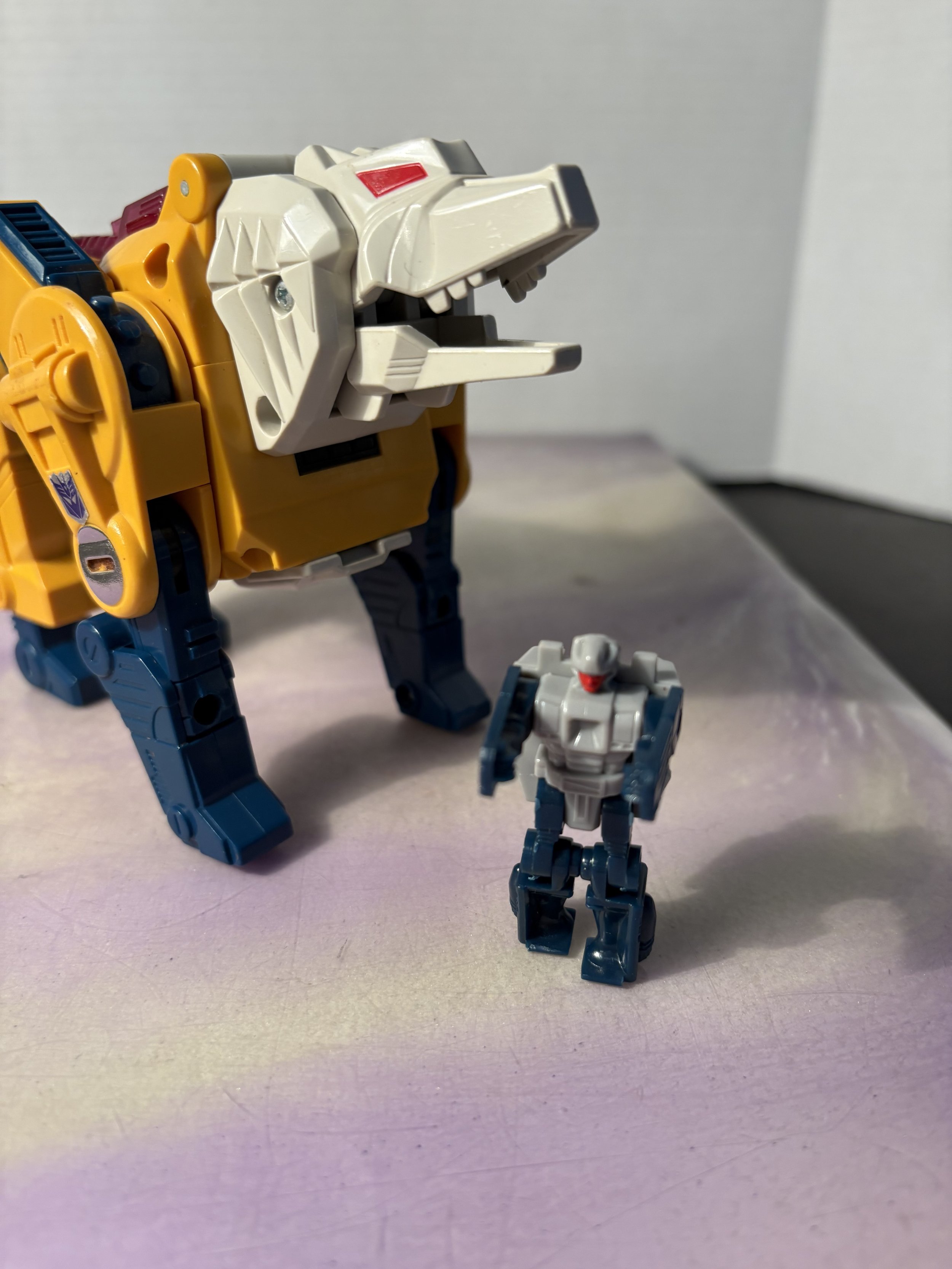 IMG_0336.jpeg