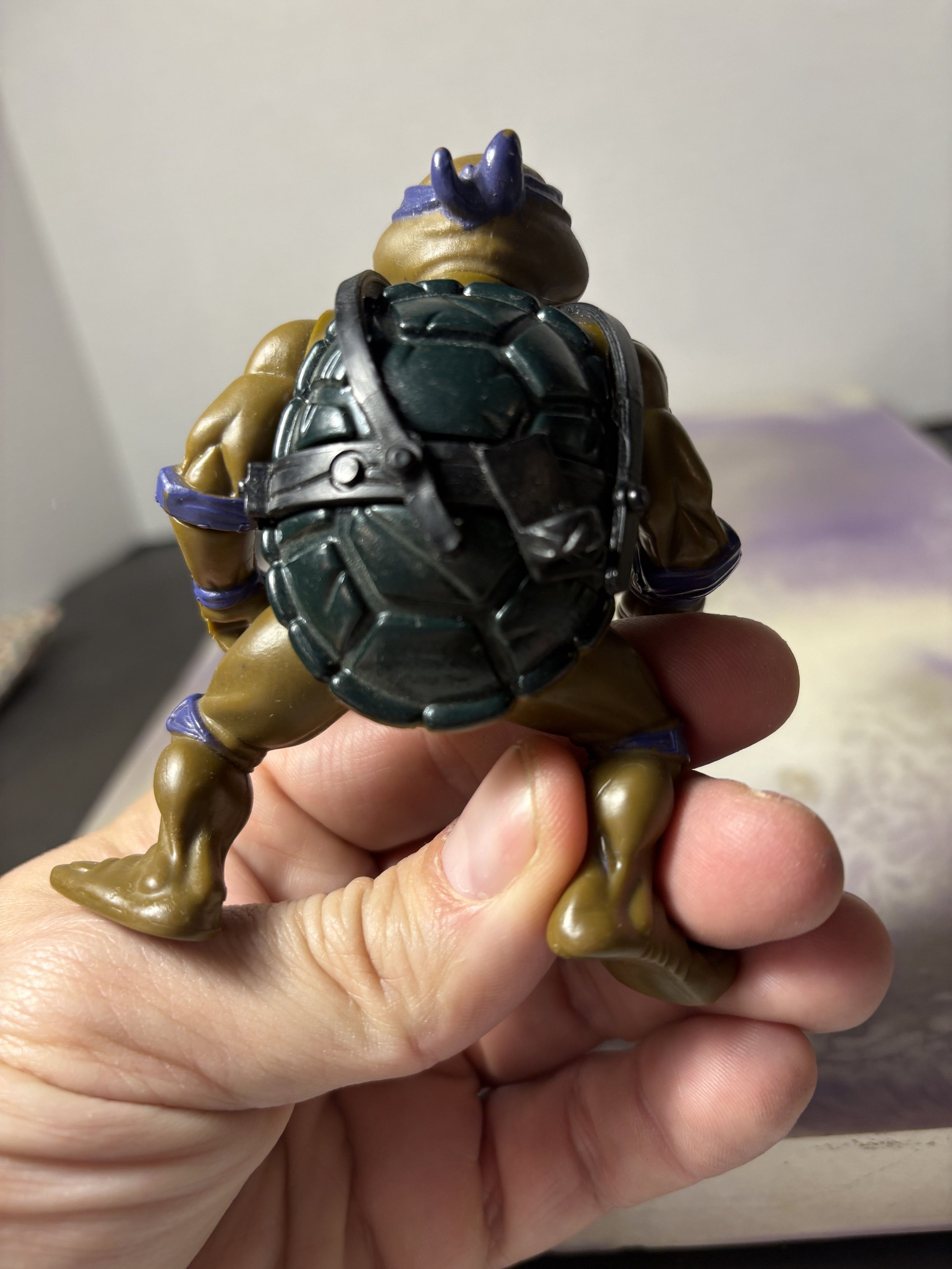 IMG_2554.jpeg