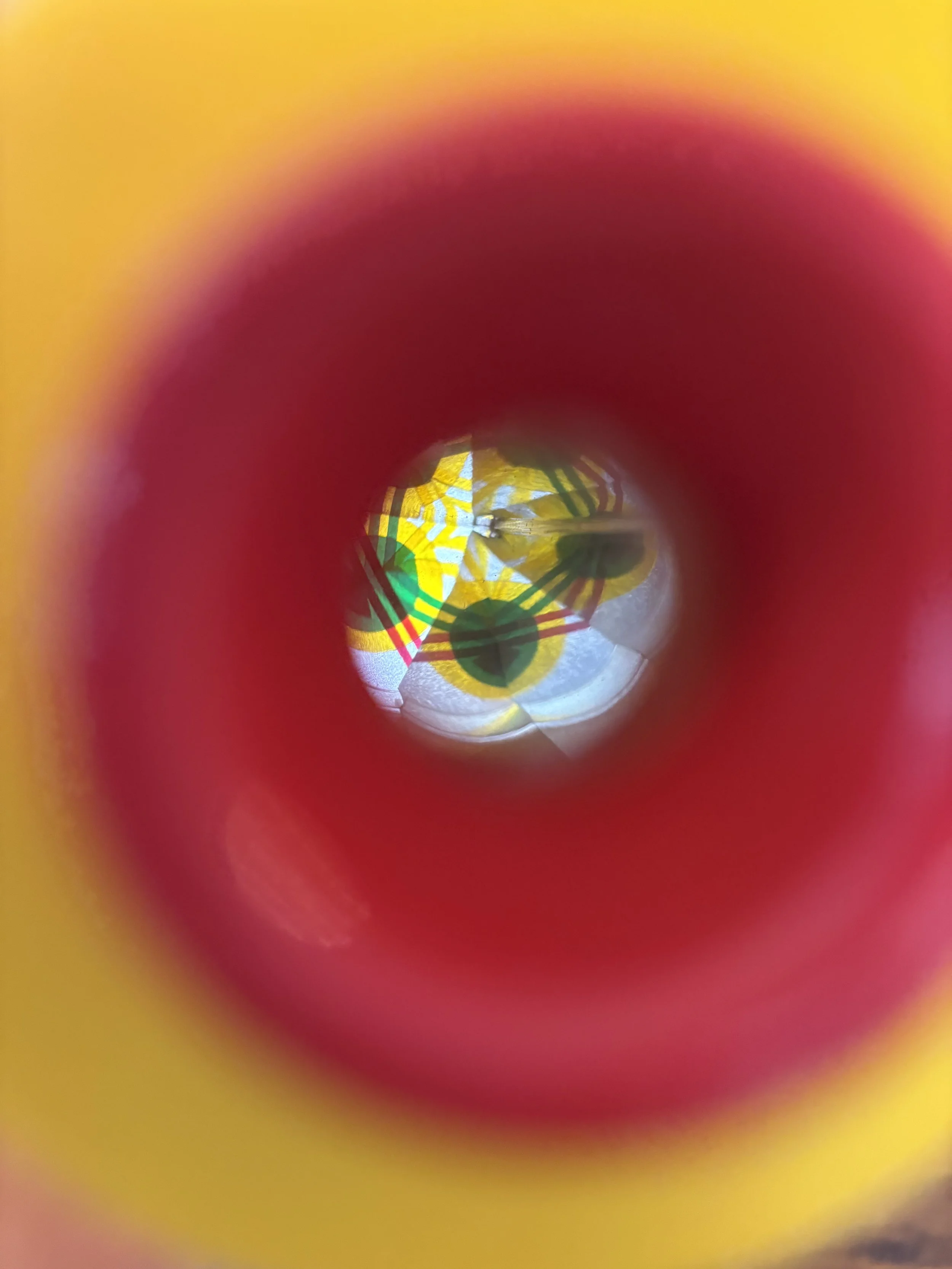 IMG_5553.jpeg