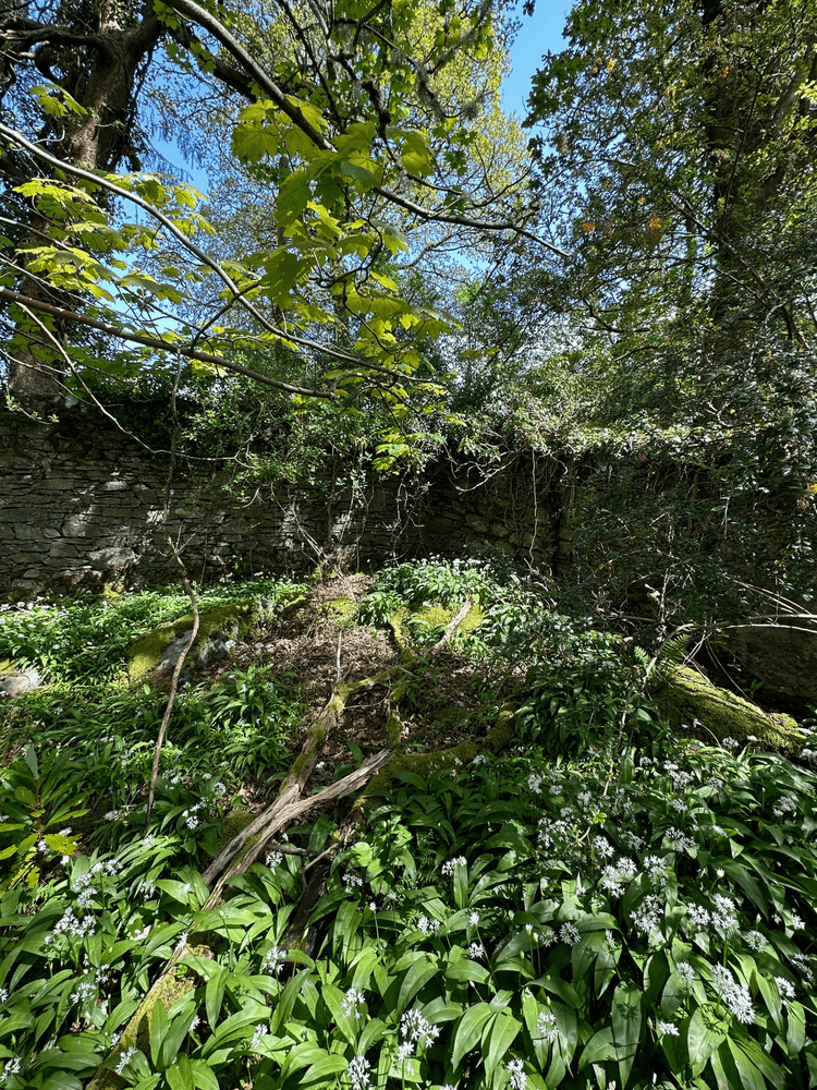 The Walled Garden