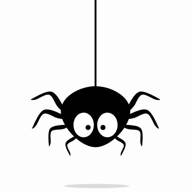 Spiders!