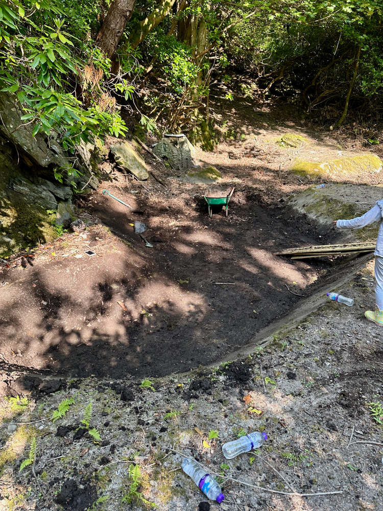 Reclaiming a Pond