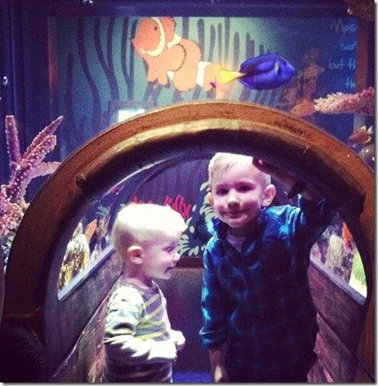 InstaFriday- Hello, Puffer Fish!