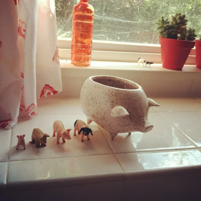 InstaFriday- A Week to Celebrate