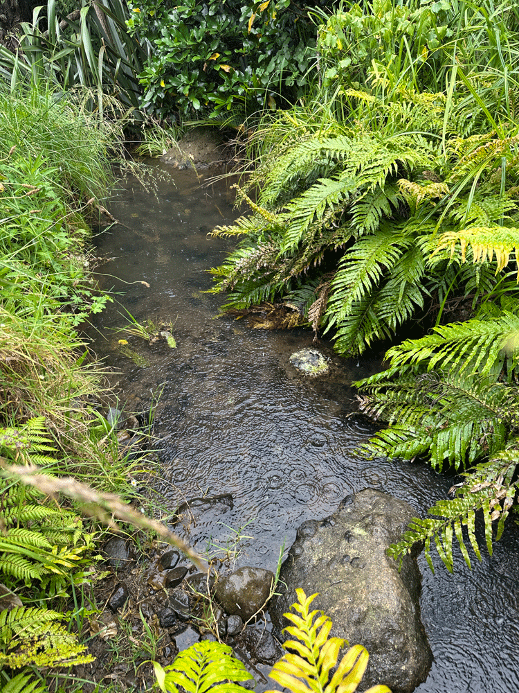 Whatipu-Stream.png