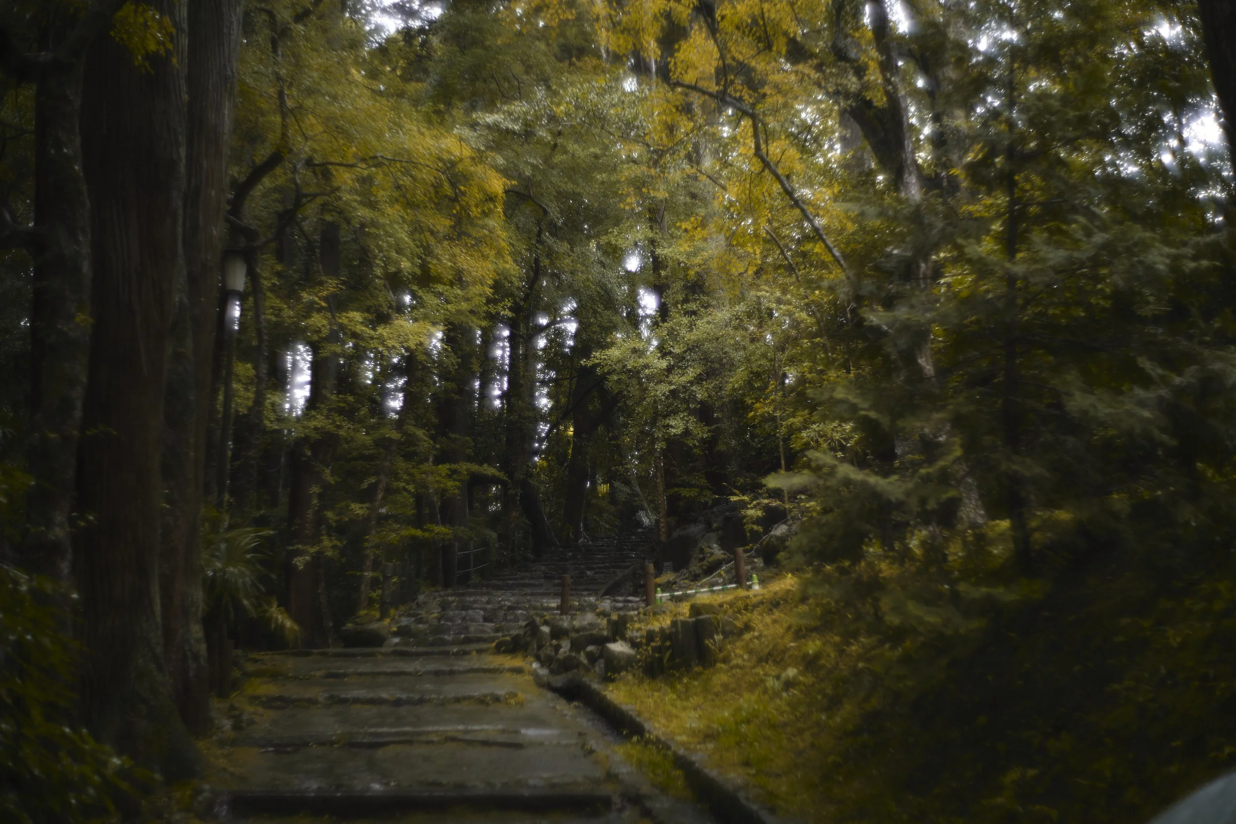 _GFX2051 1.jpg